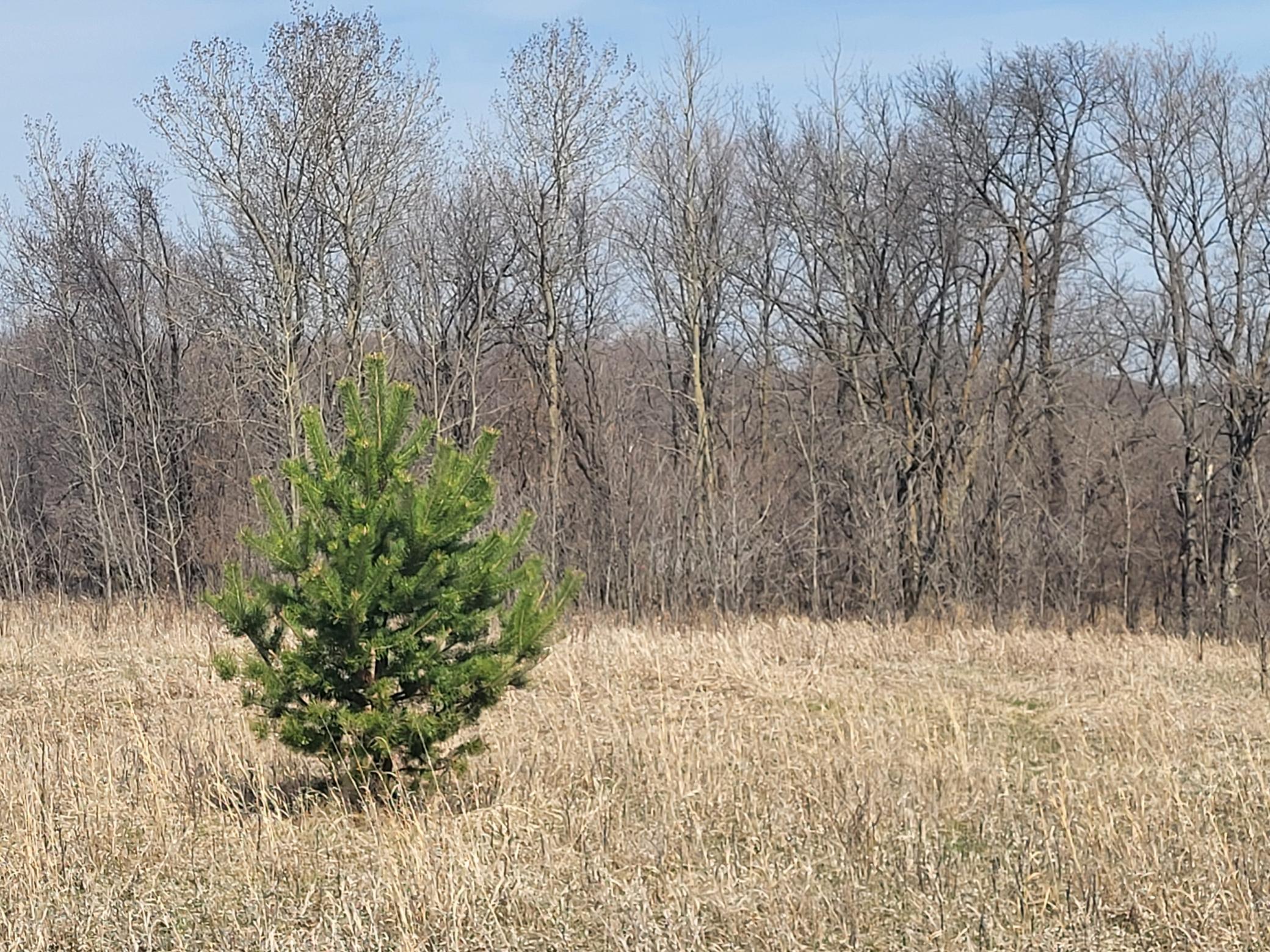 main property photo 22