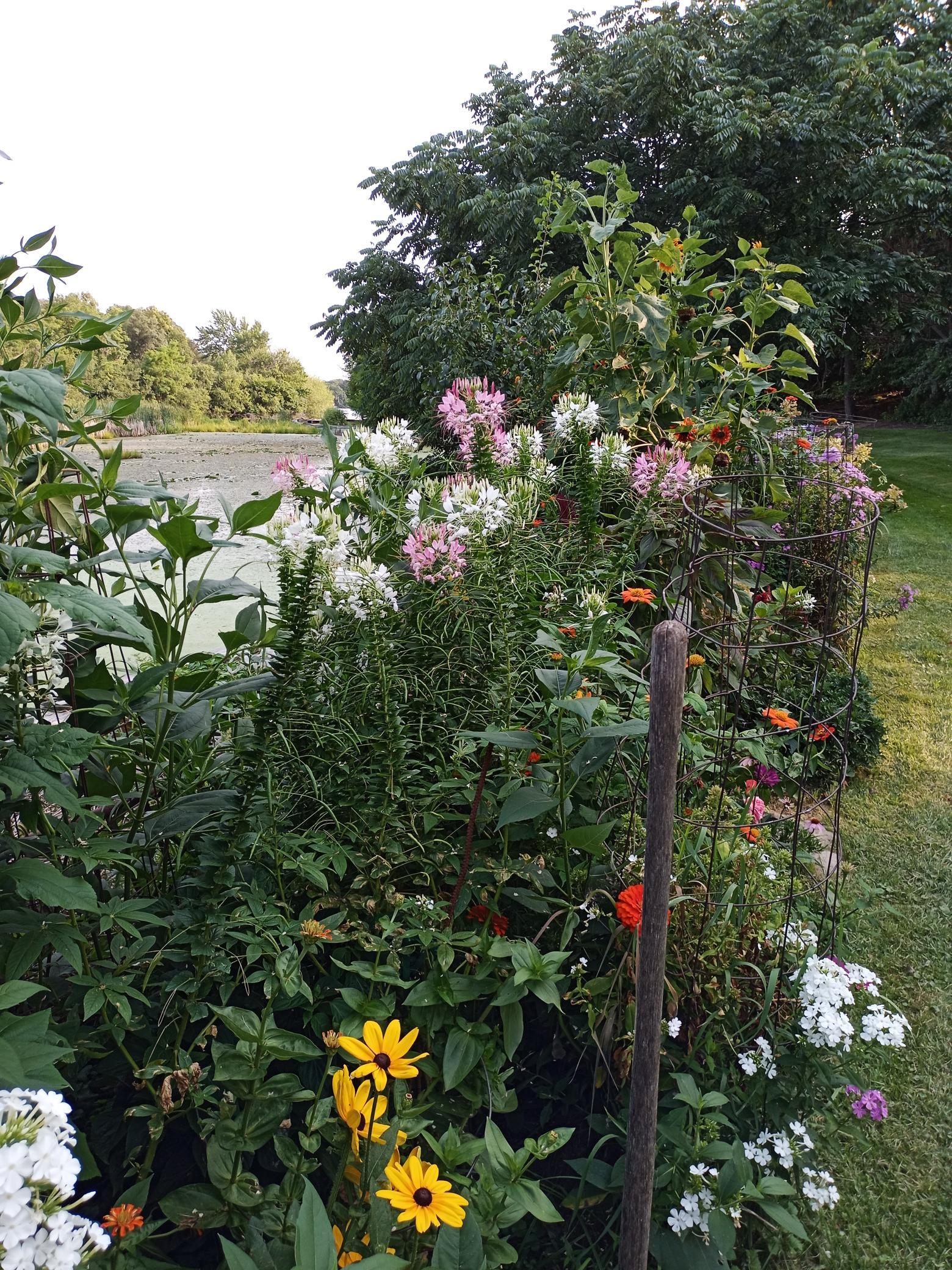 main property photo 47
