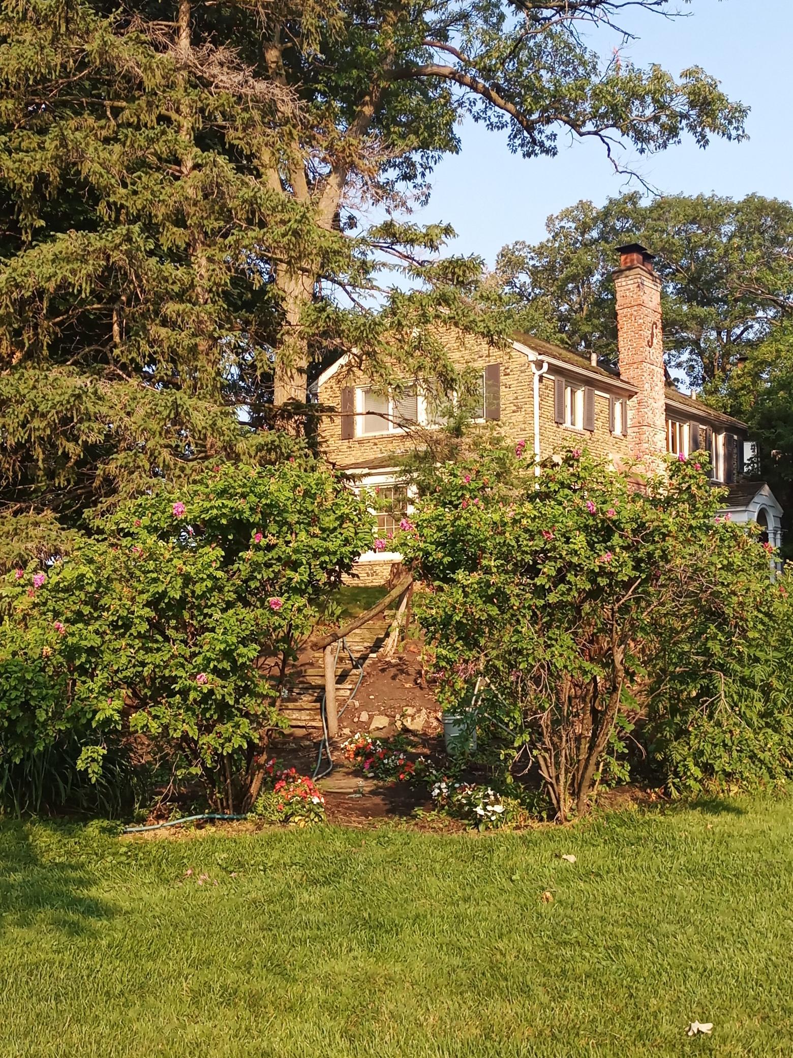 main property photo 48