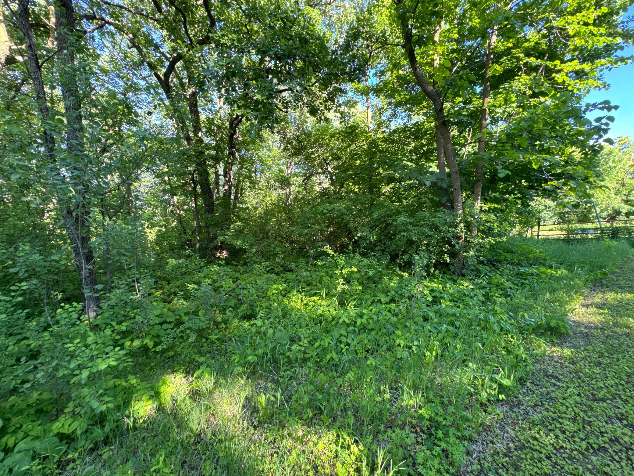 main property photo 4