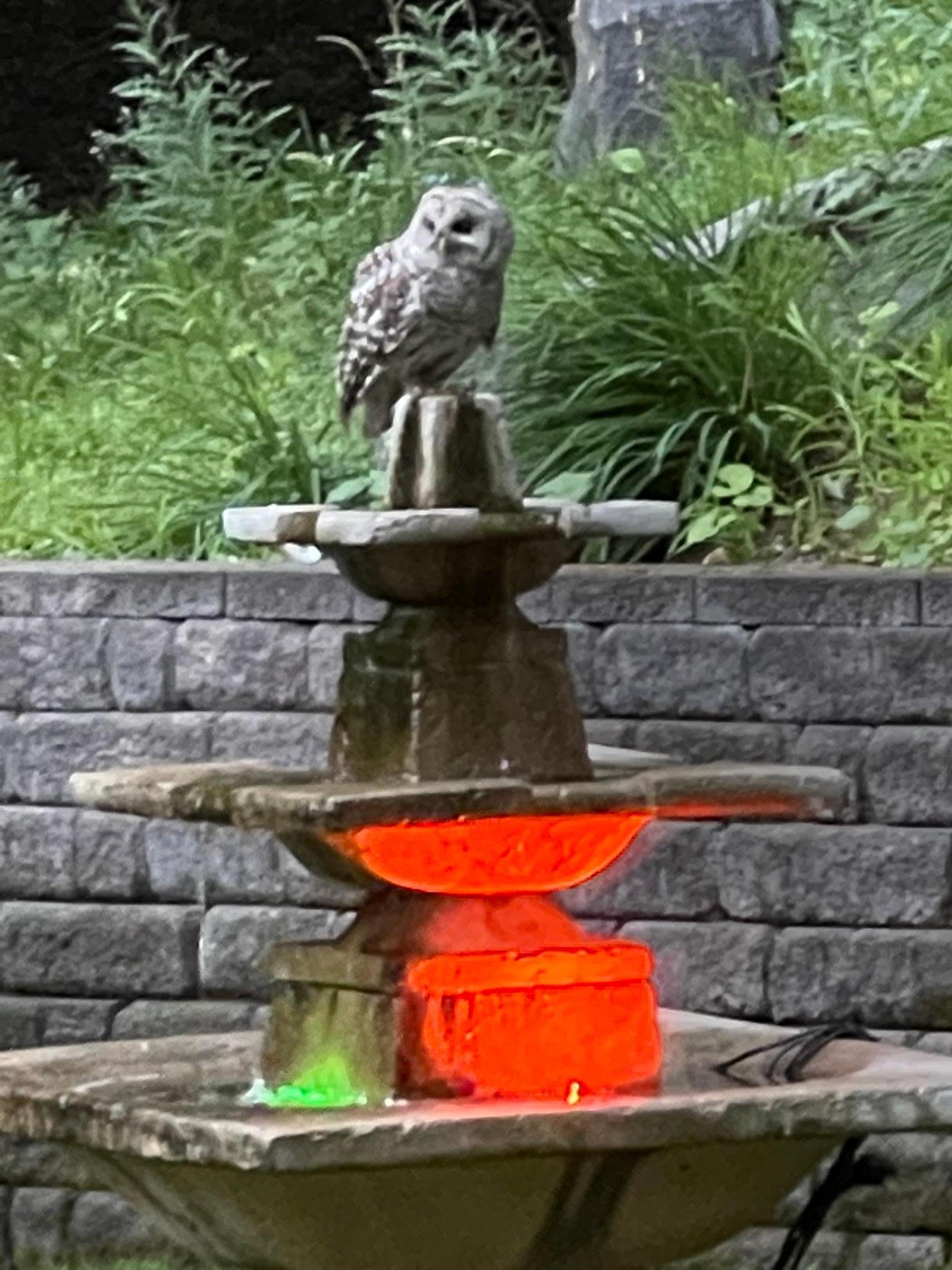 main property photo 28