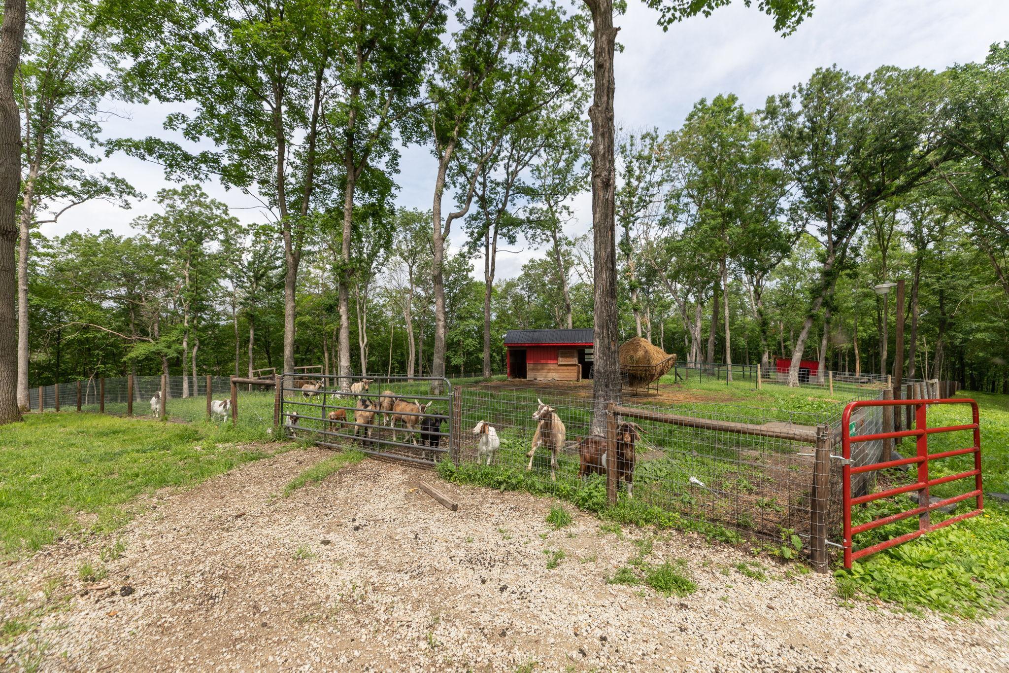 main property photo 39