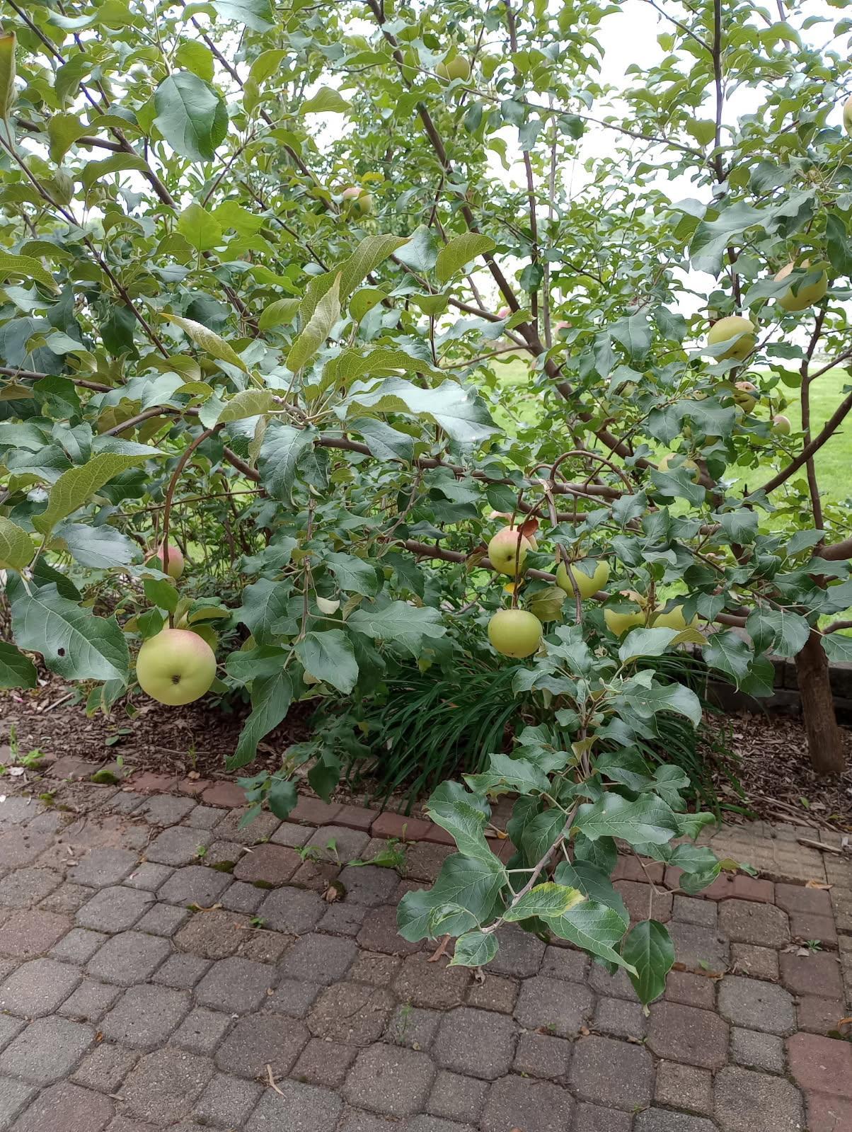main property photo 35