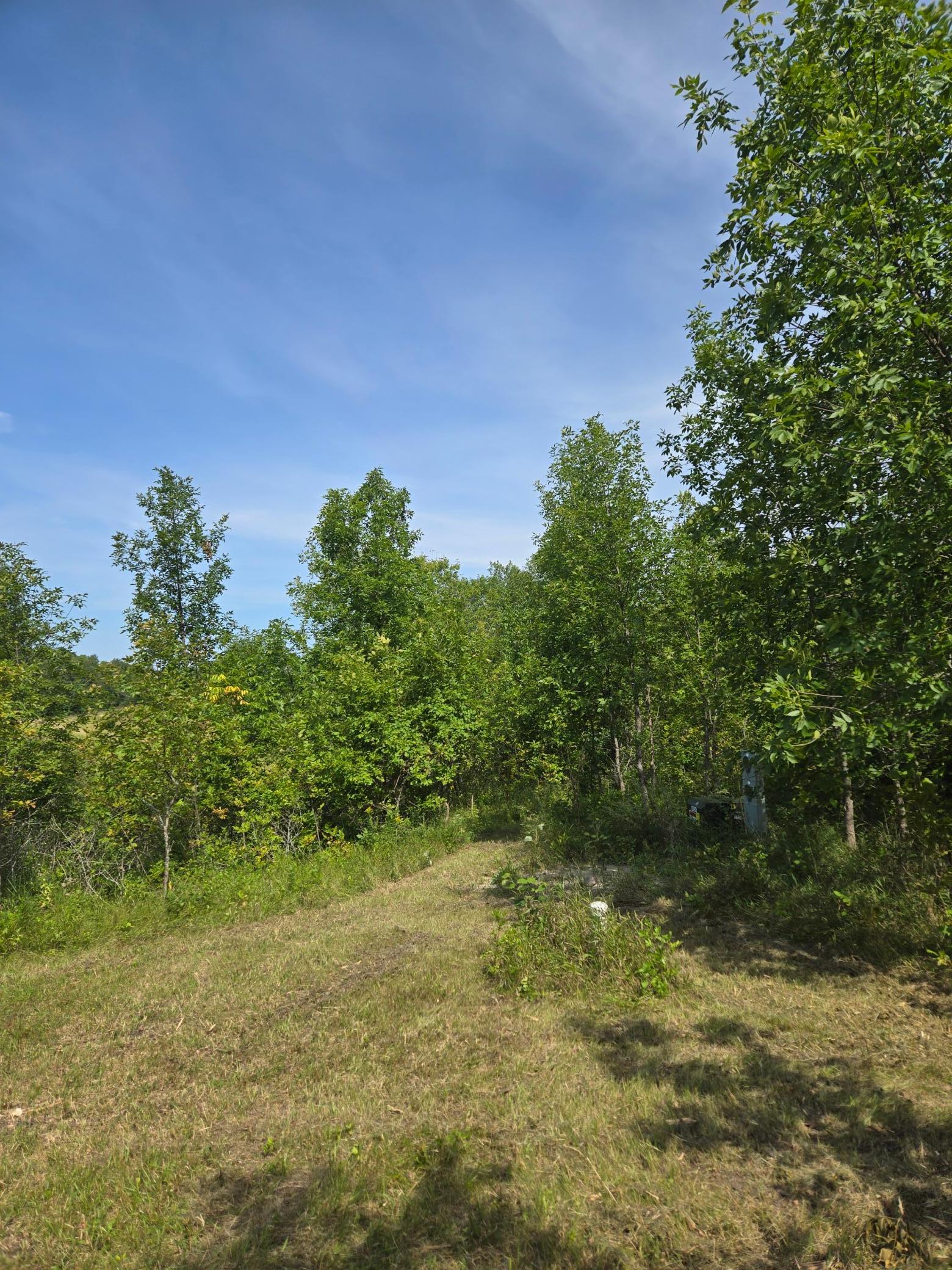 main property photo 38