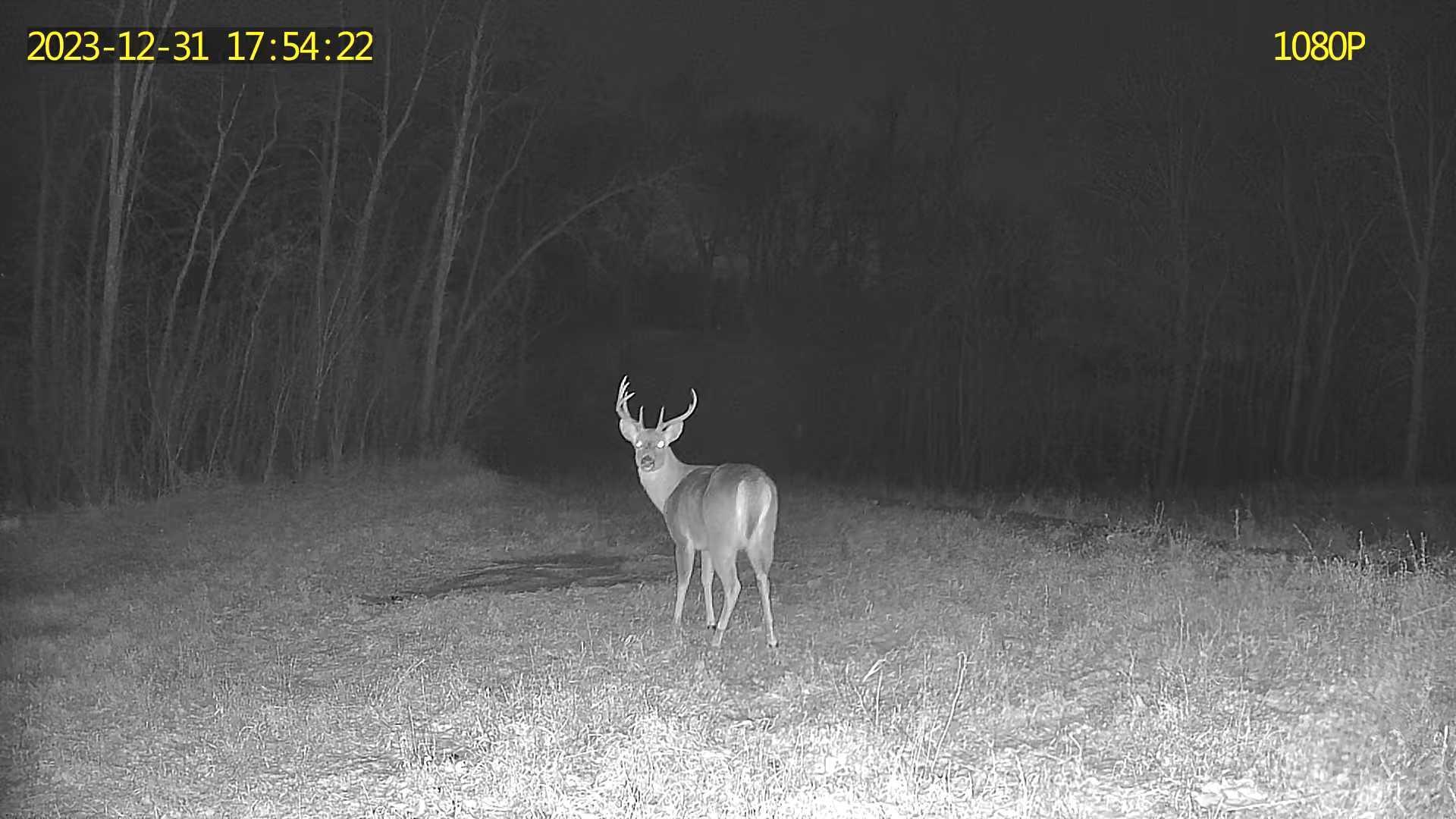 main property photo 58