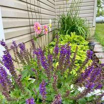 main property photo 67