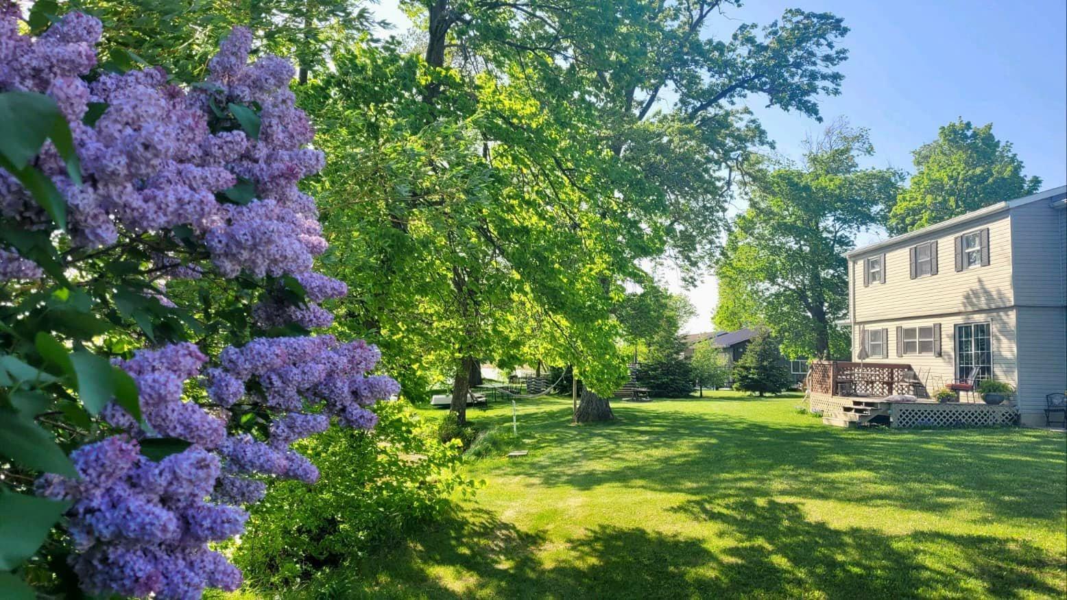 main property photo 69