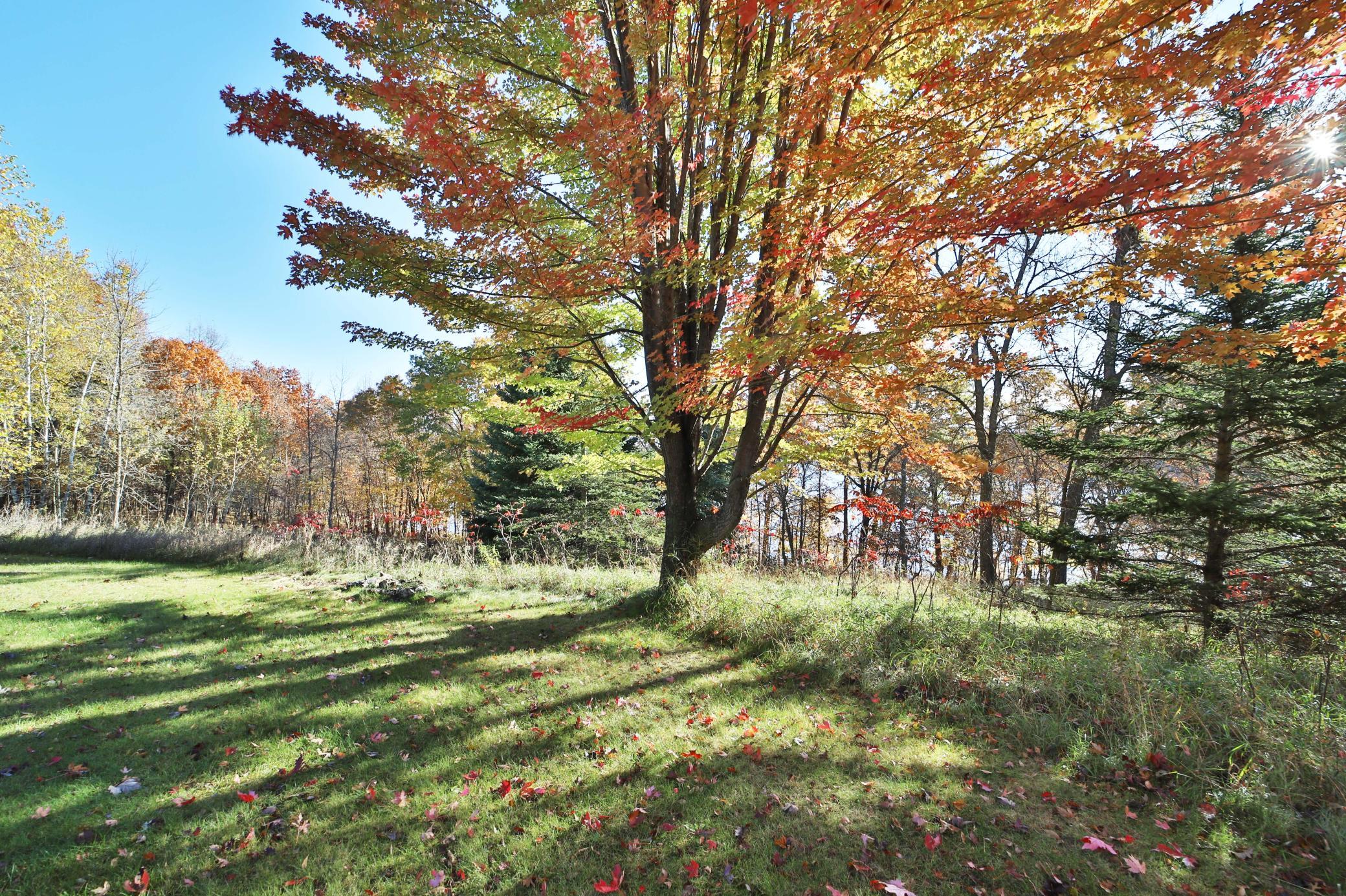 main property photo 74