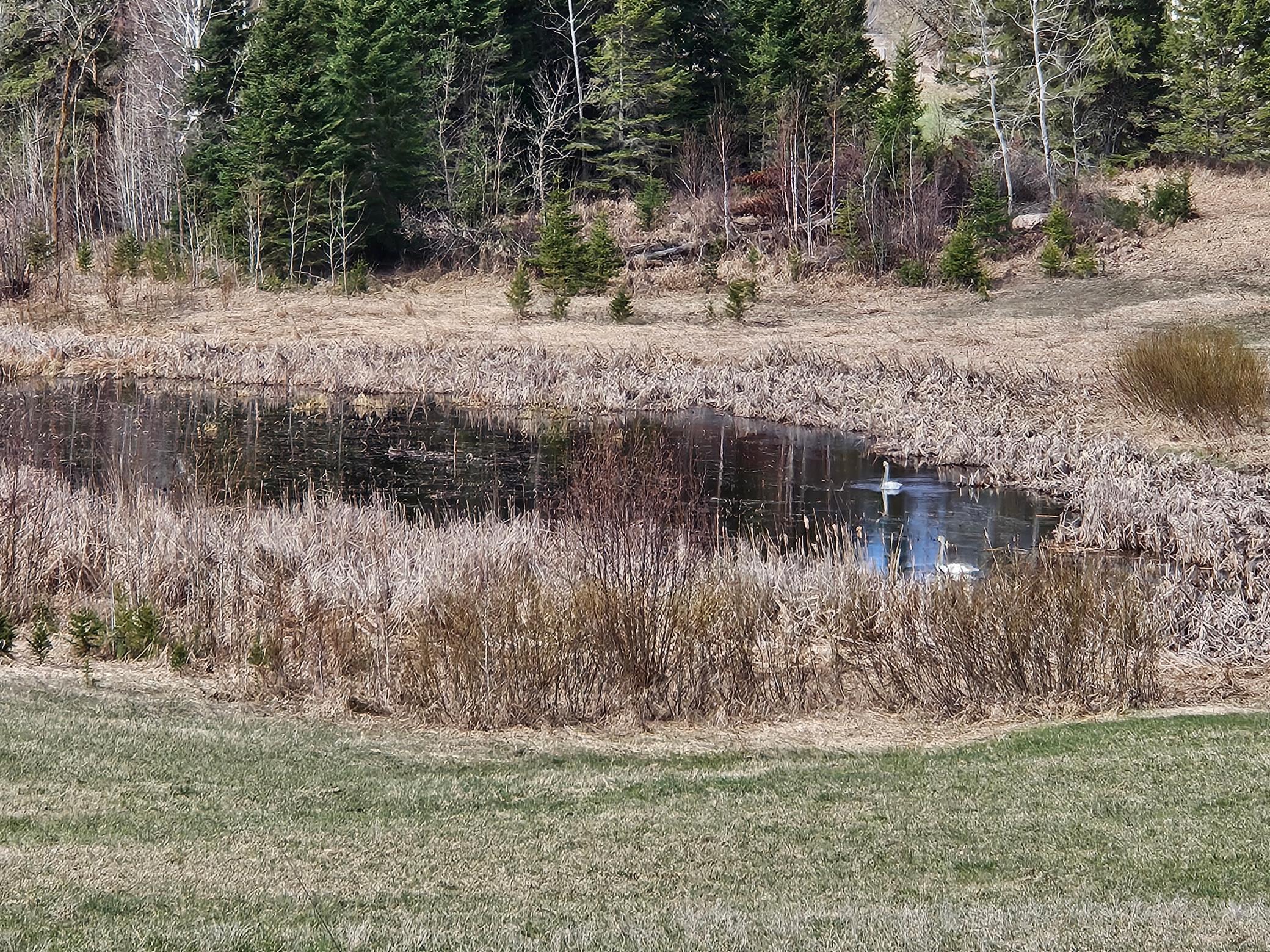 main property photo 67