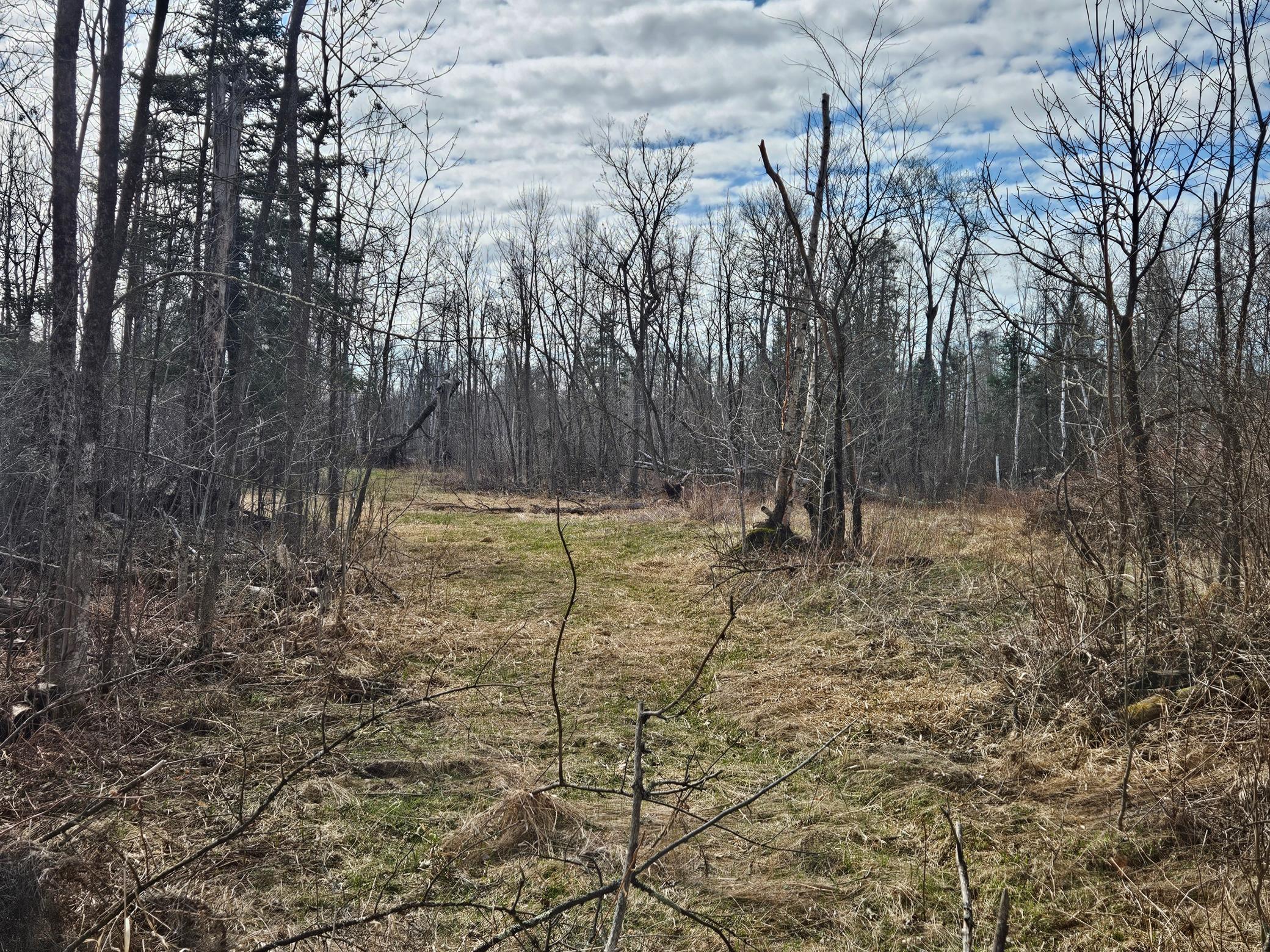 main property photo 72