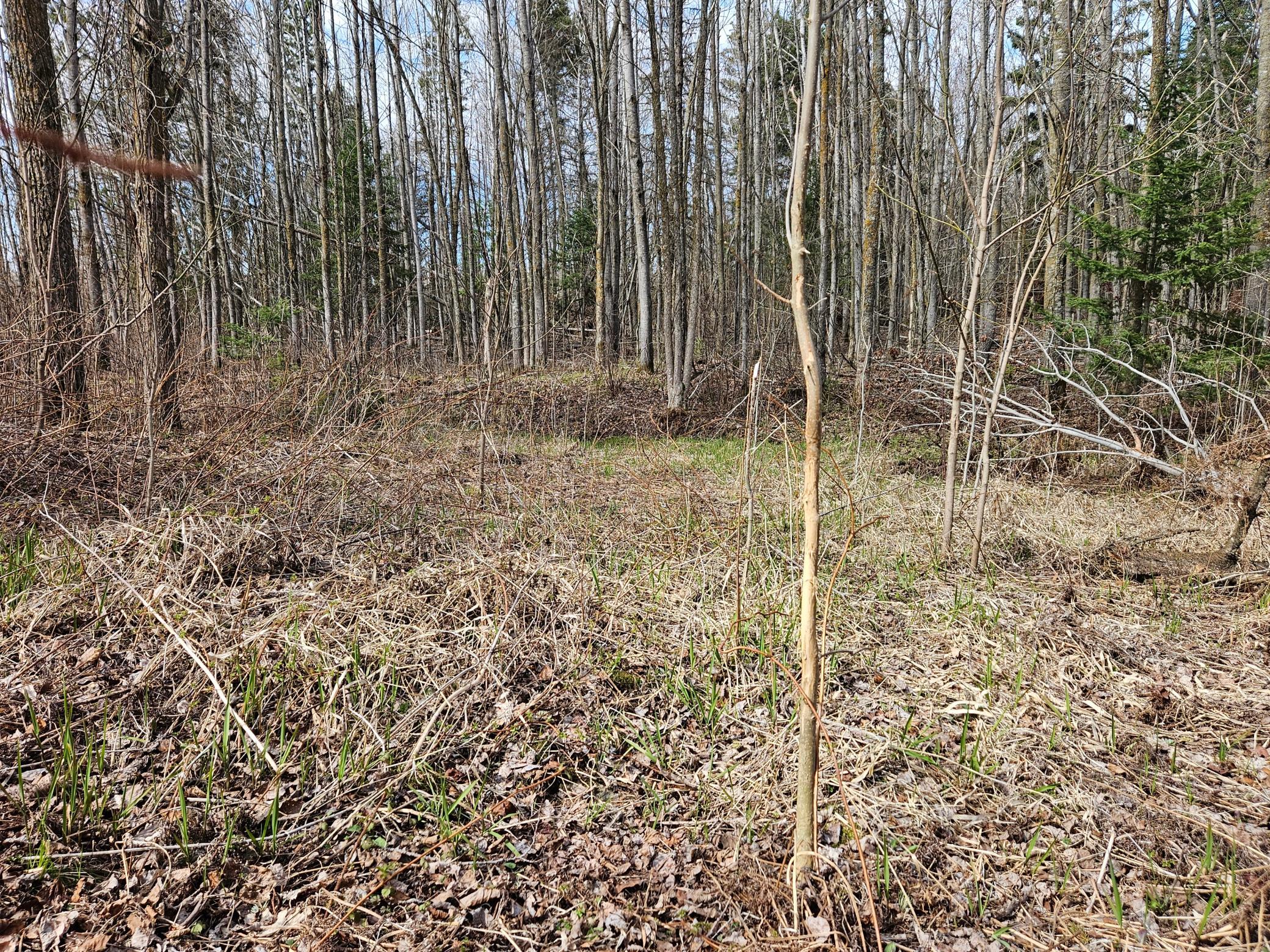 main property photo 82