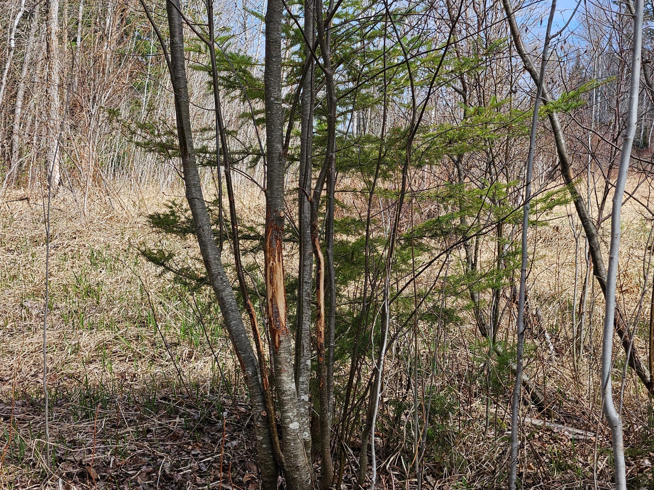 main property photo 83