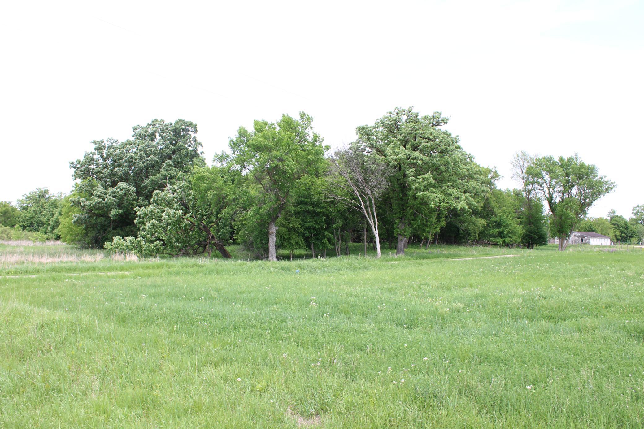 main property photo 37