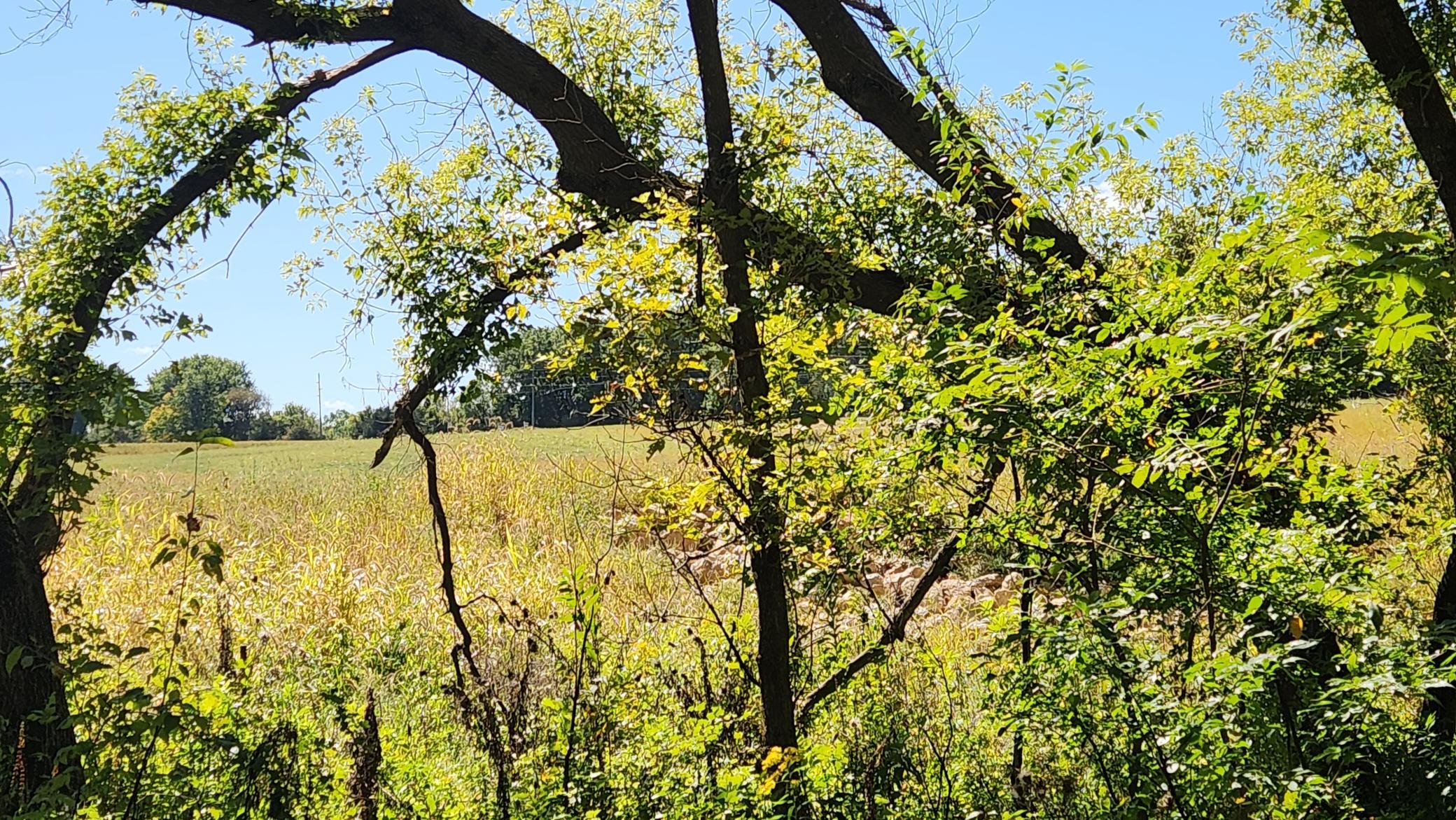 main property photo 10