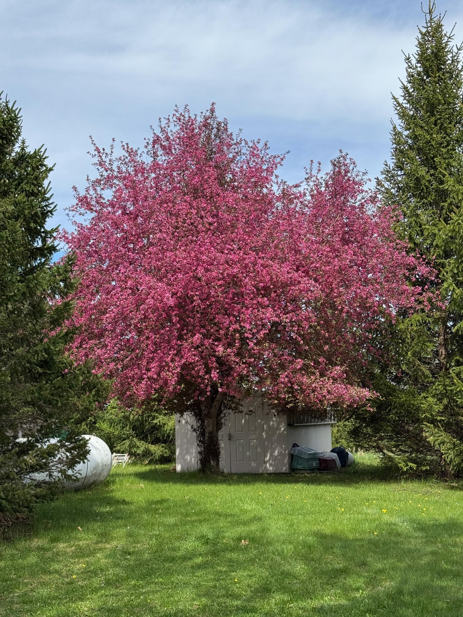 main property photo 84