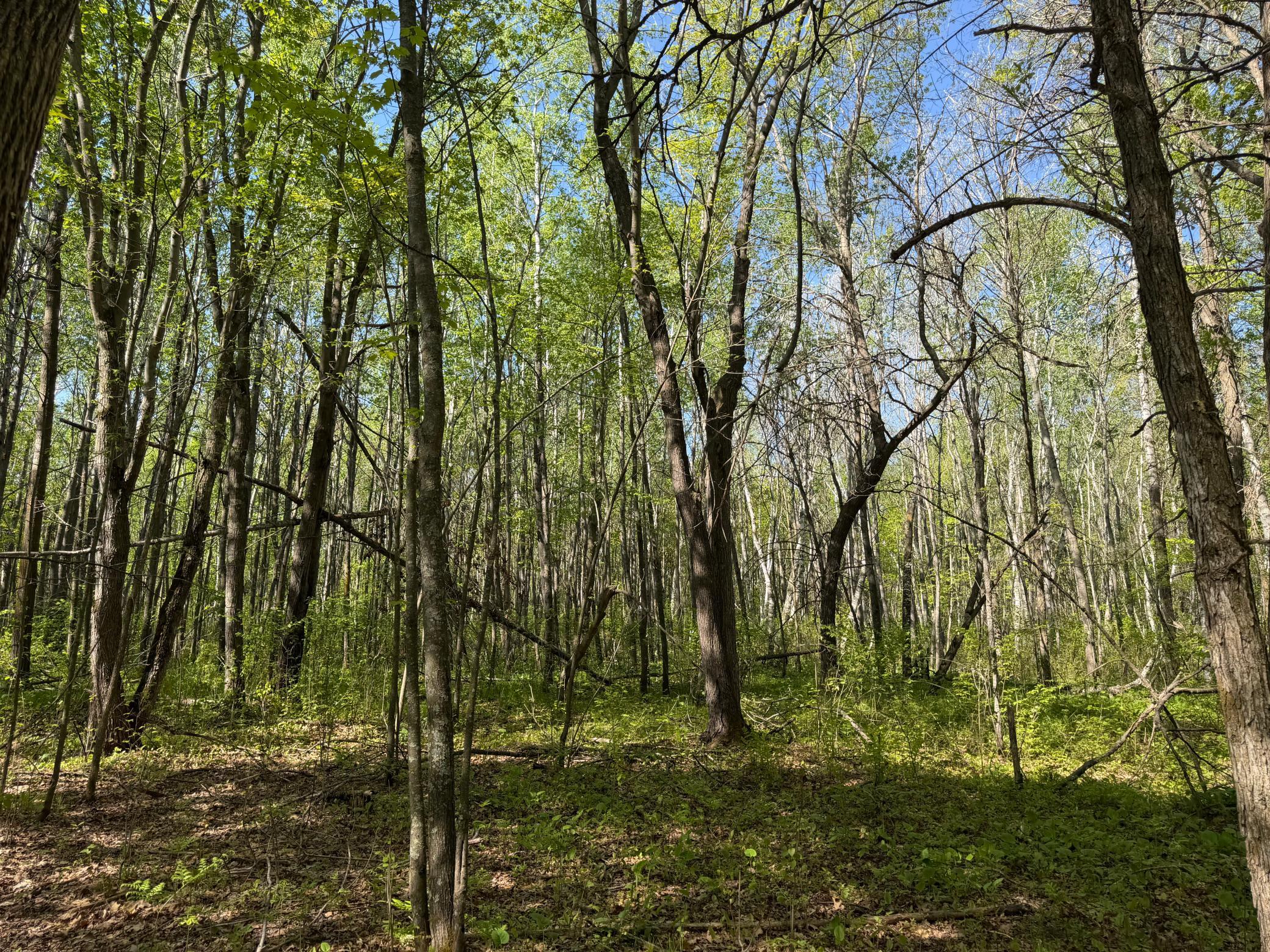 main property photo 50