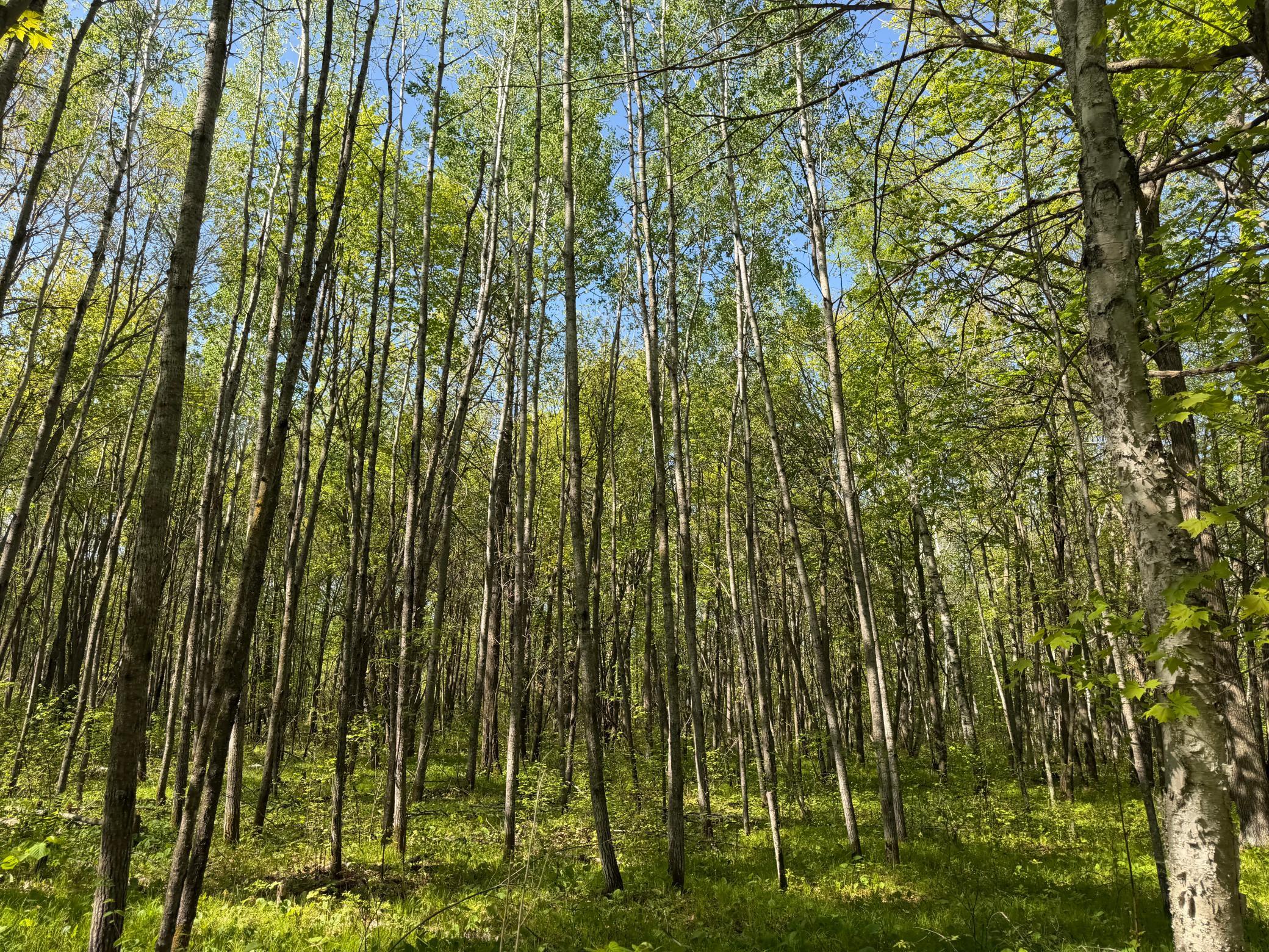 main property photo 51