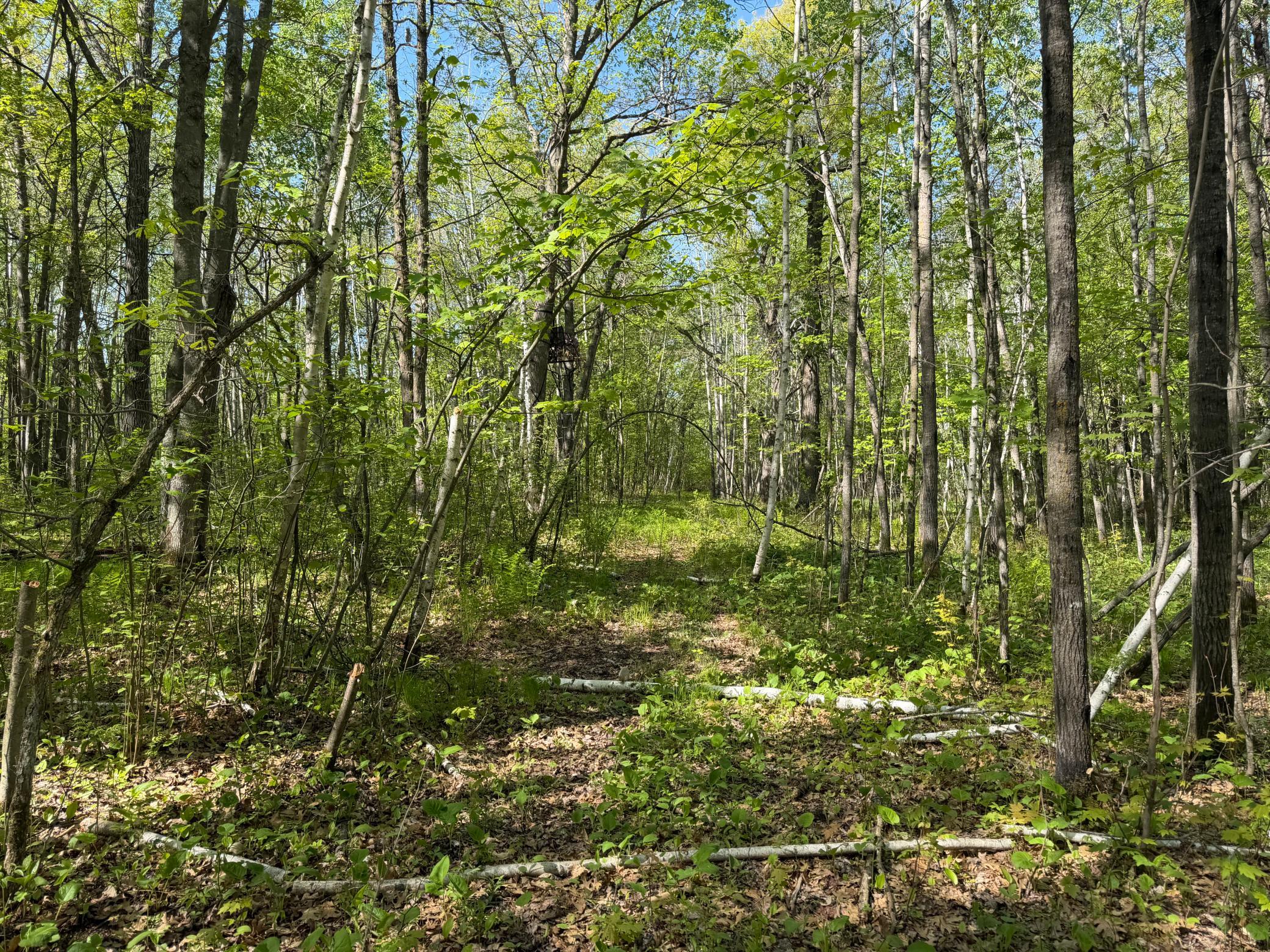 main property photo 52