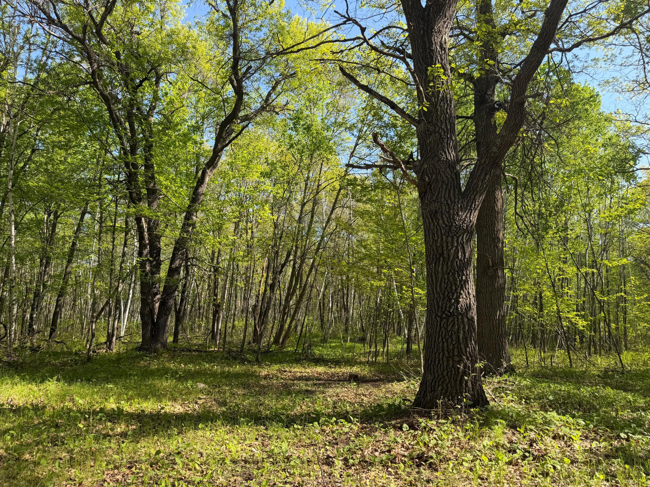 main property photo 54