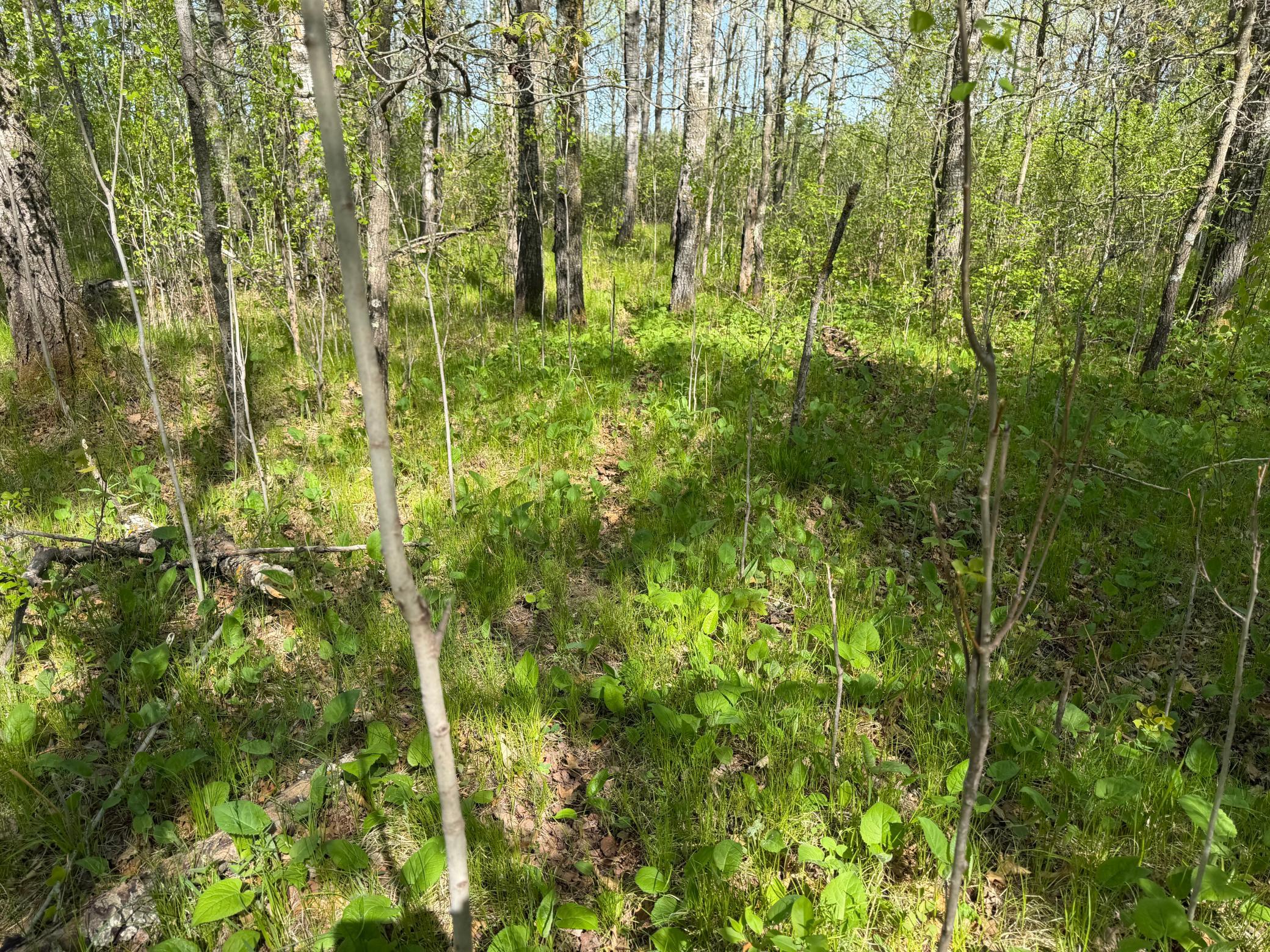 main property photo 56