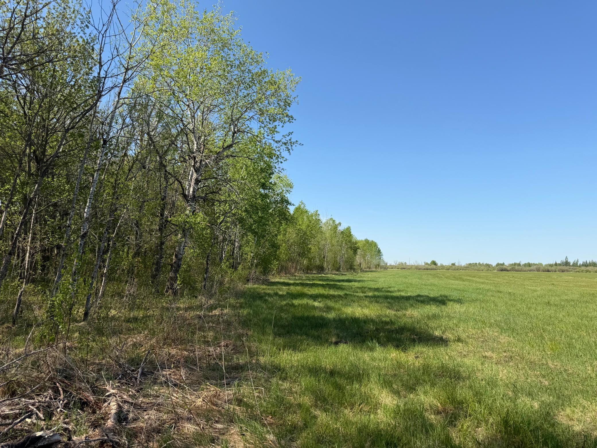 main property photo 58