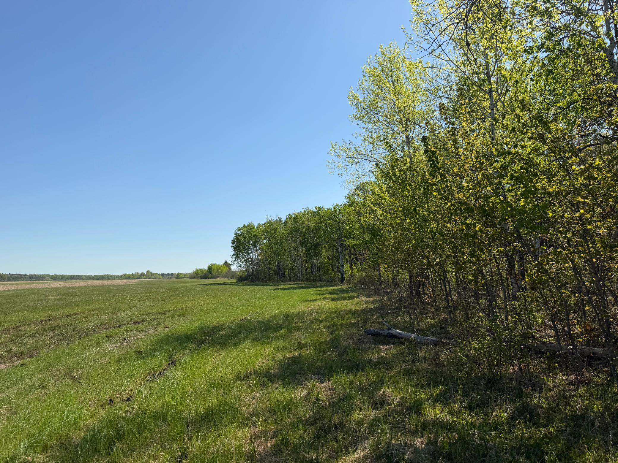 main property photo 60