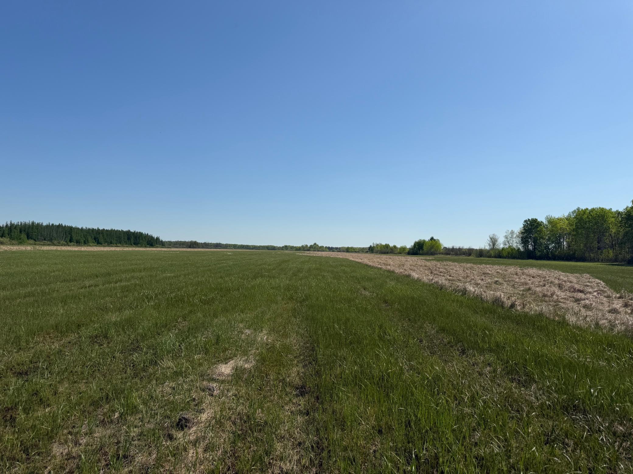 main property photo 62