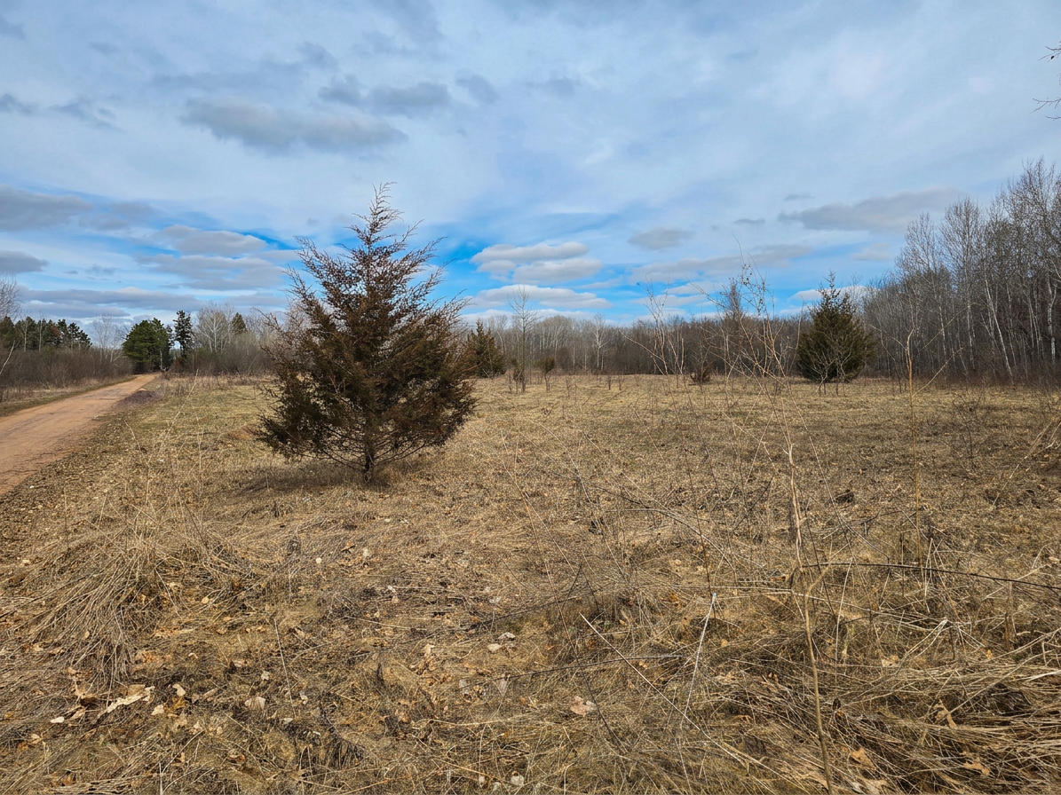 main property photo 58