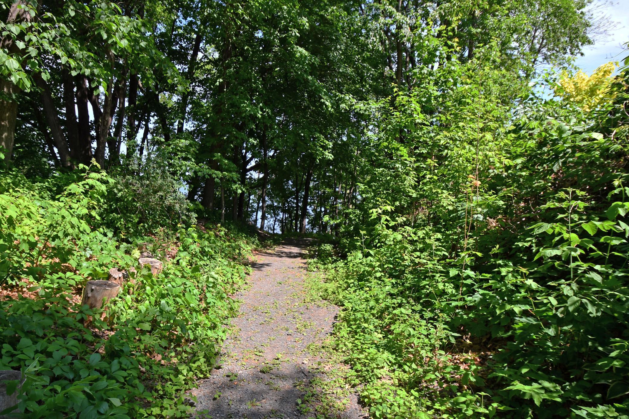 main property photo 63