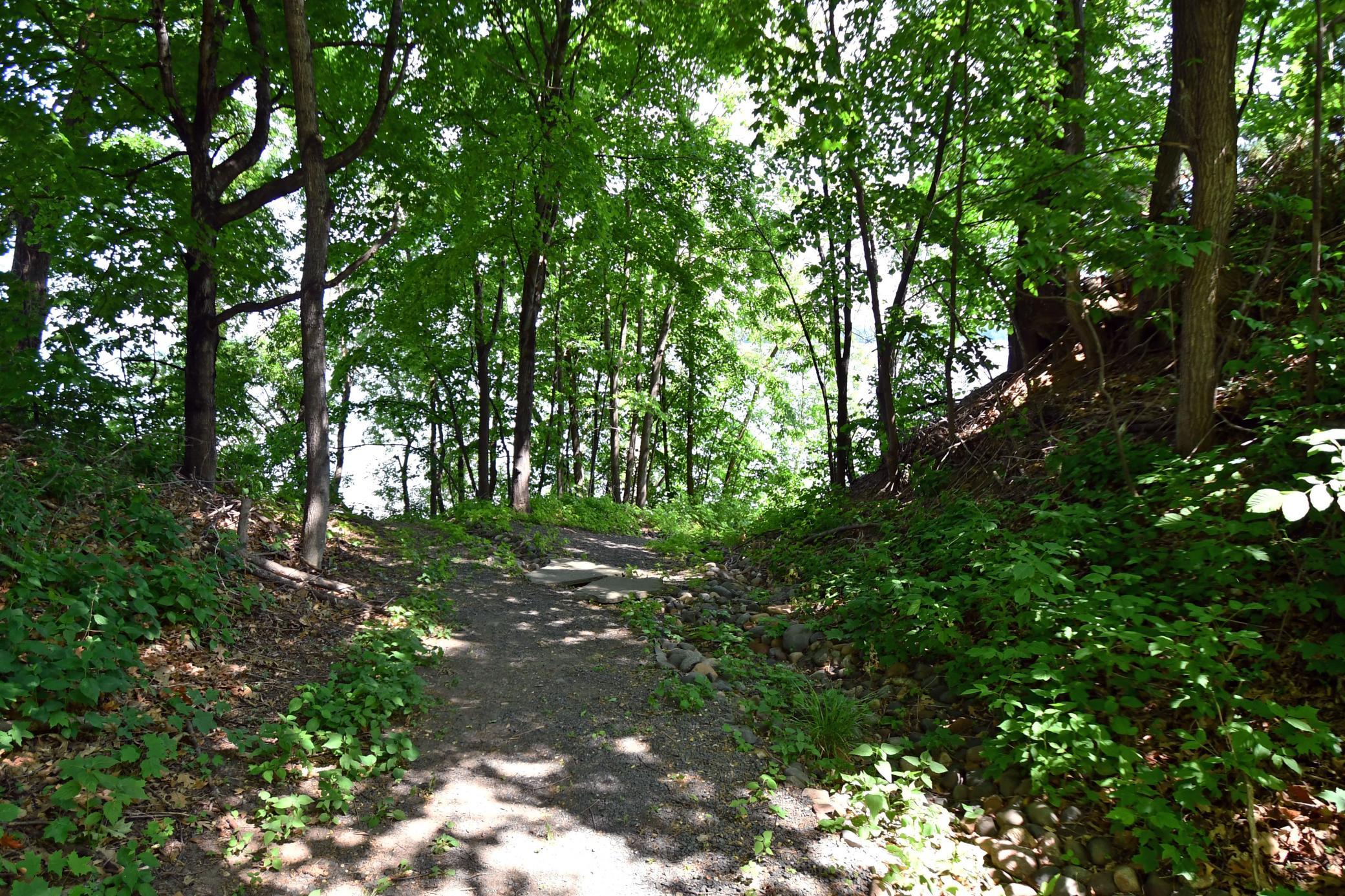 main property photo 64