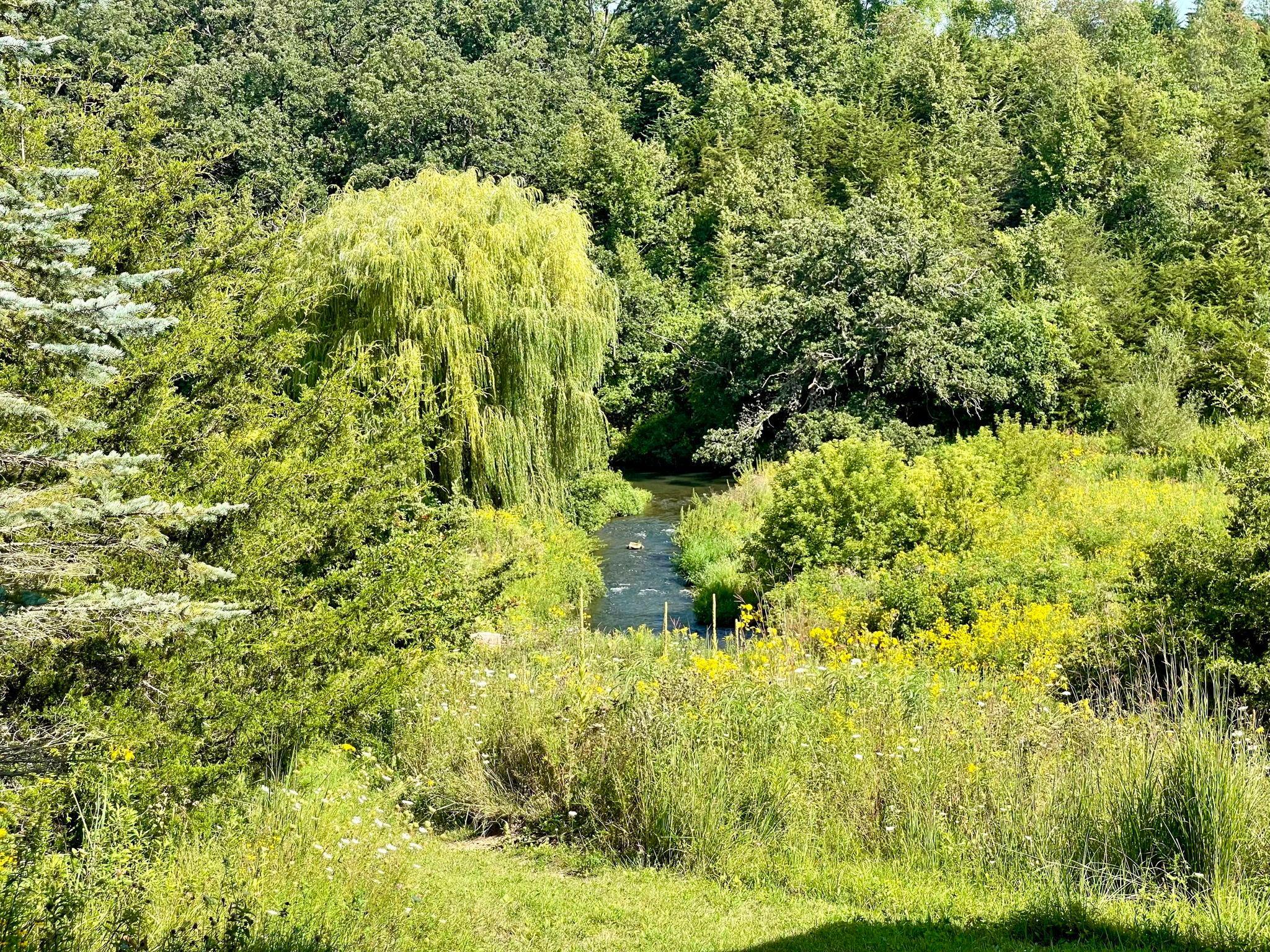 main property photo 38