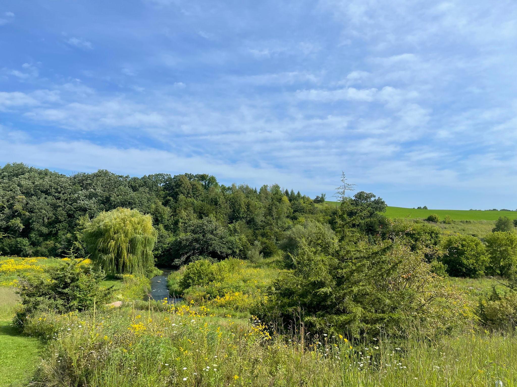 main property photo 47