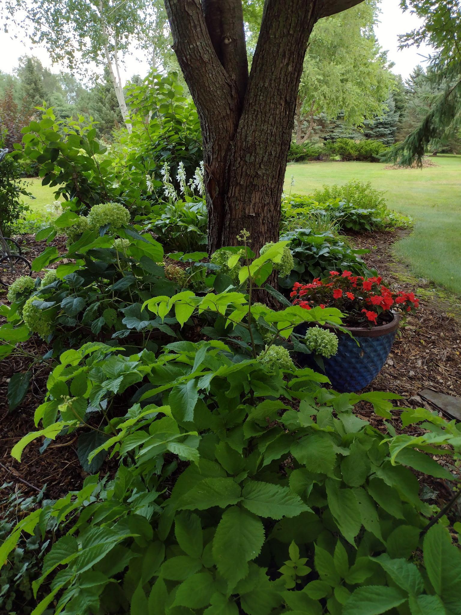 main property photo 54