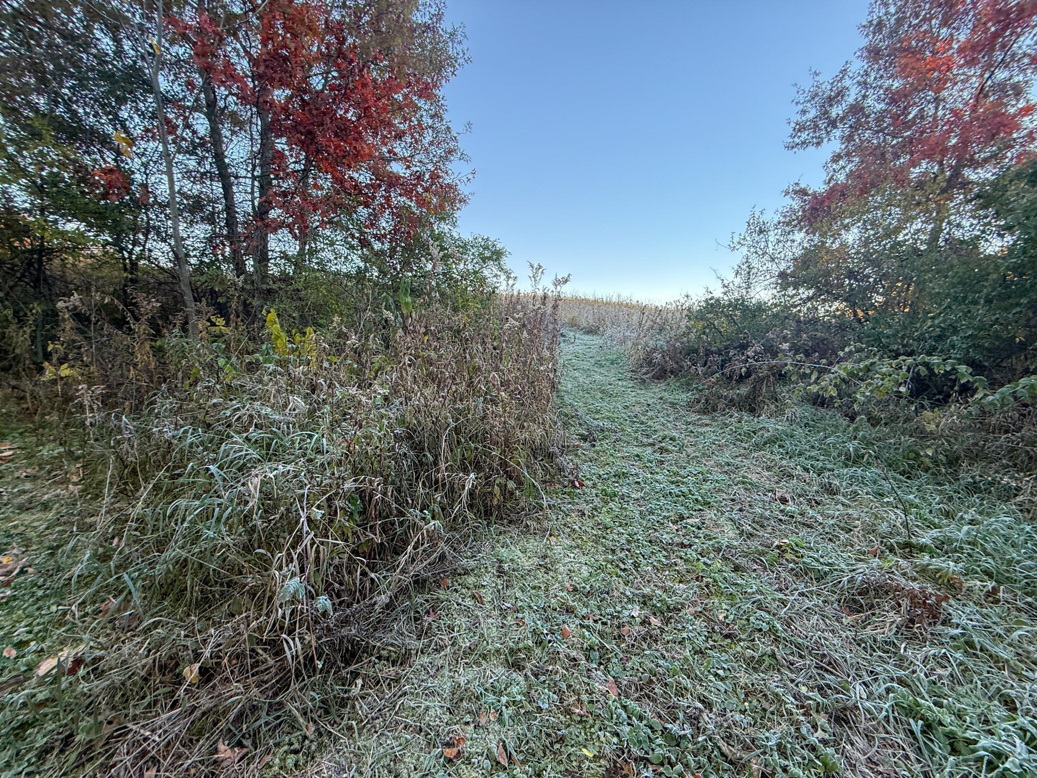 main property photo 100