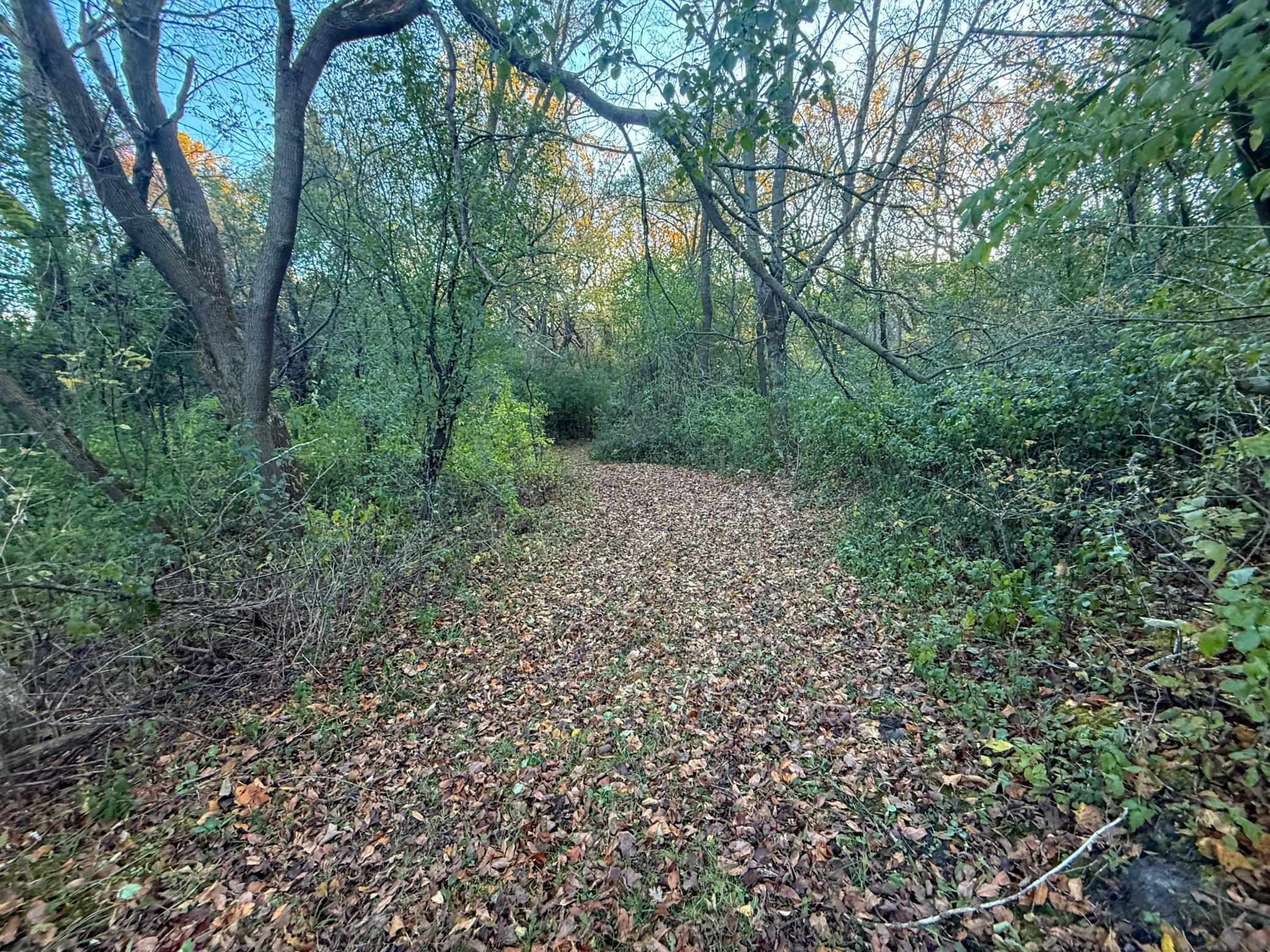 main property photo 102