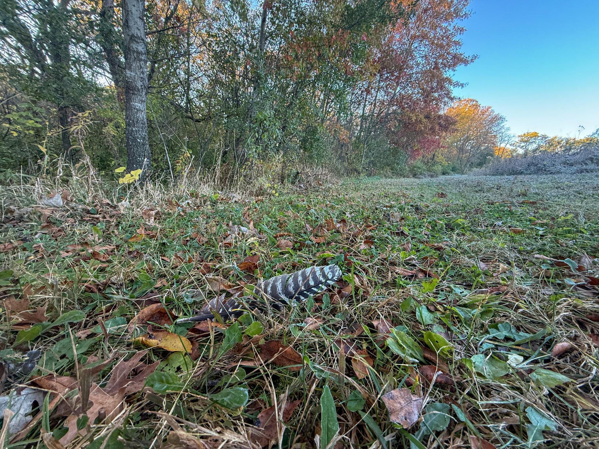 main property photo 103