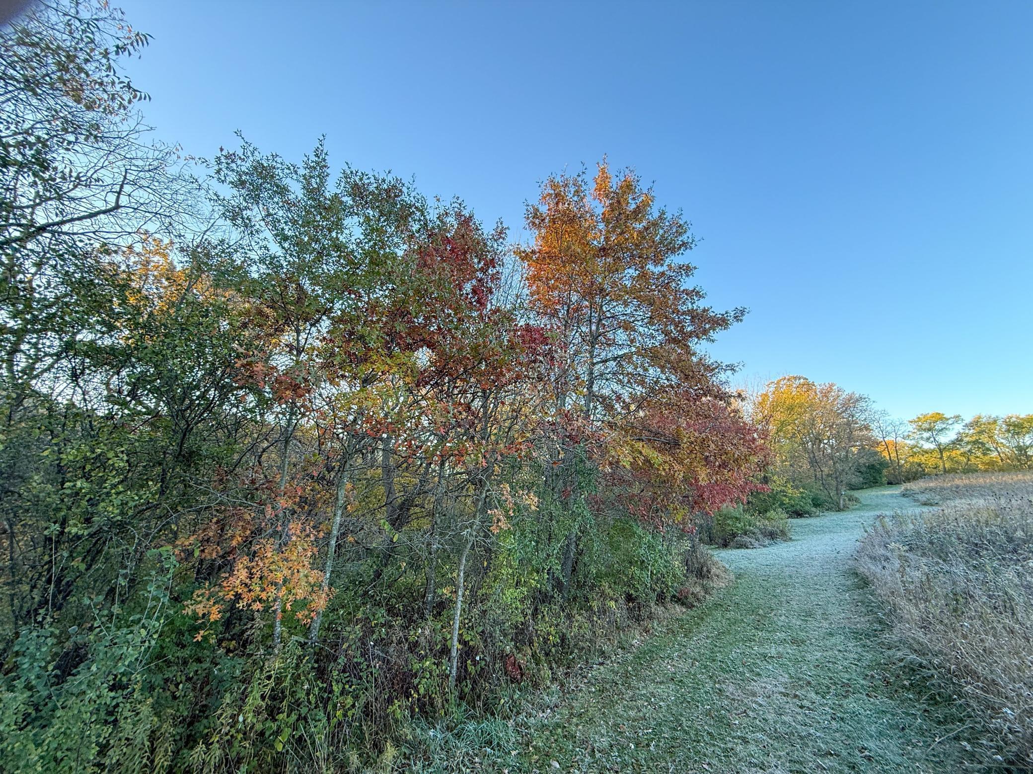 main property photo 104