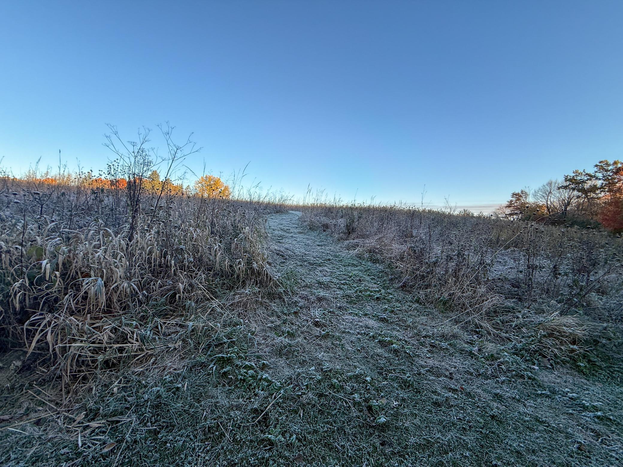 main property photo 105