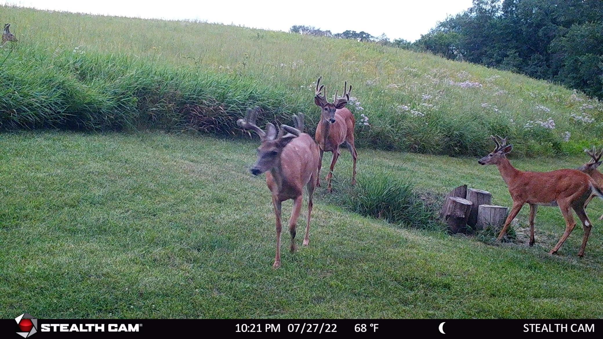 main property photo 119