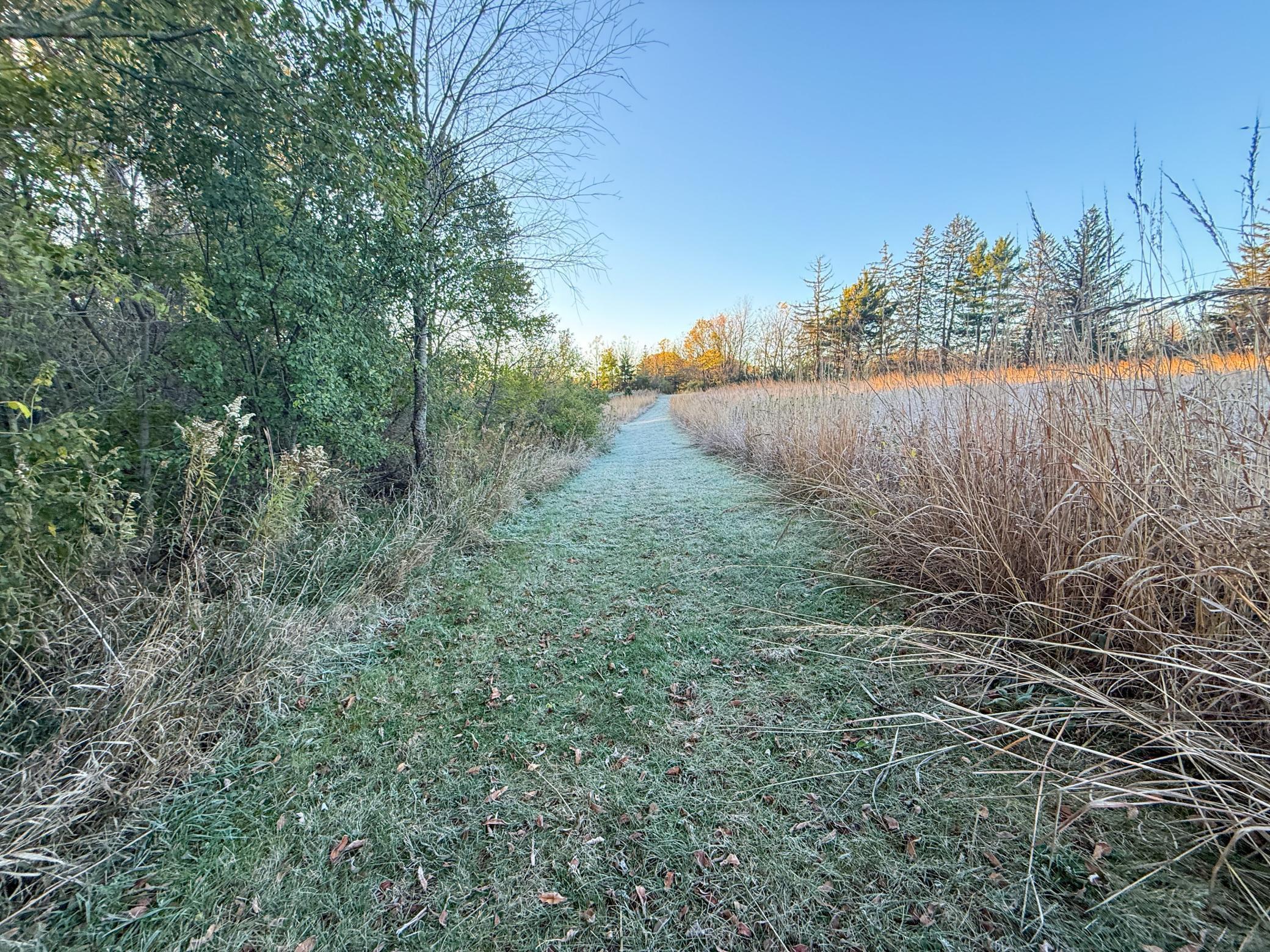 main property photo 83