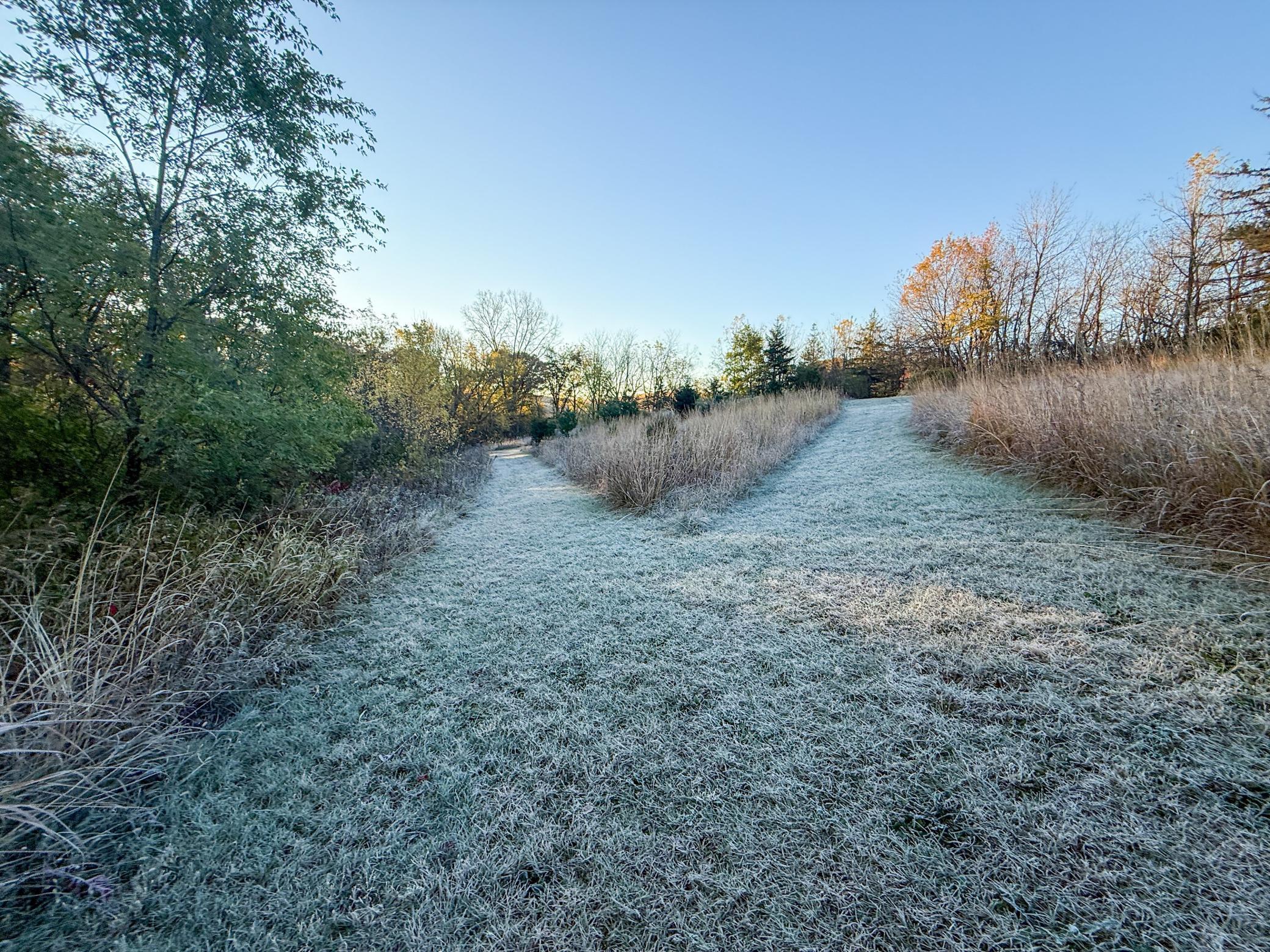 main property photo 85
