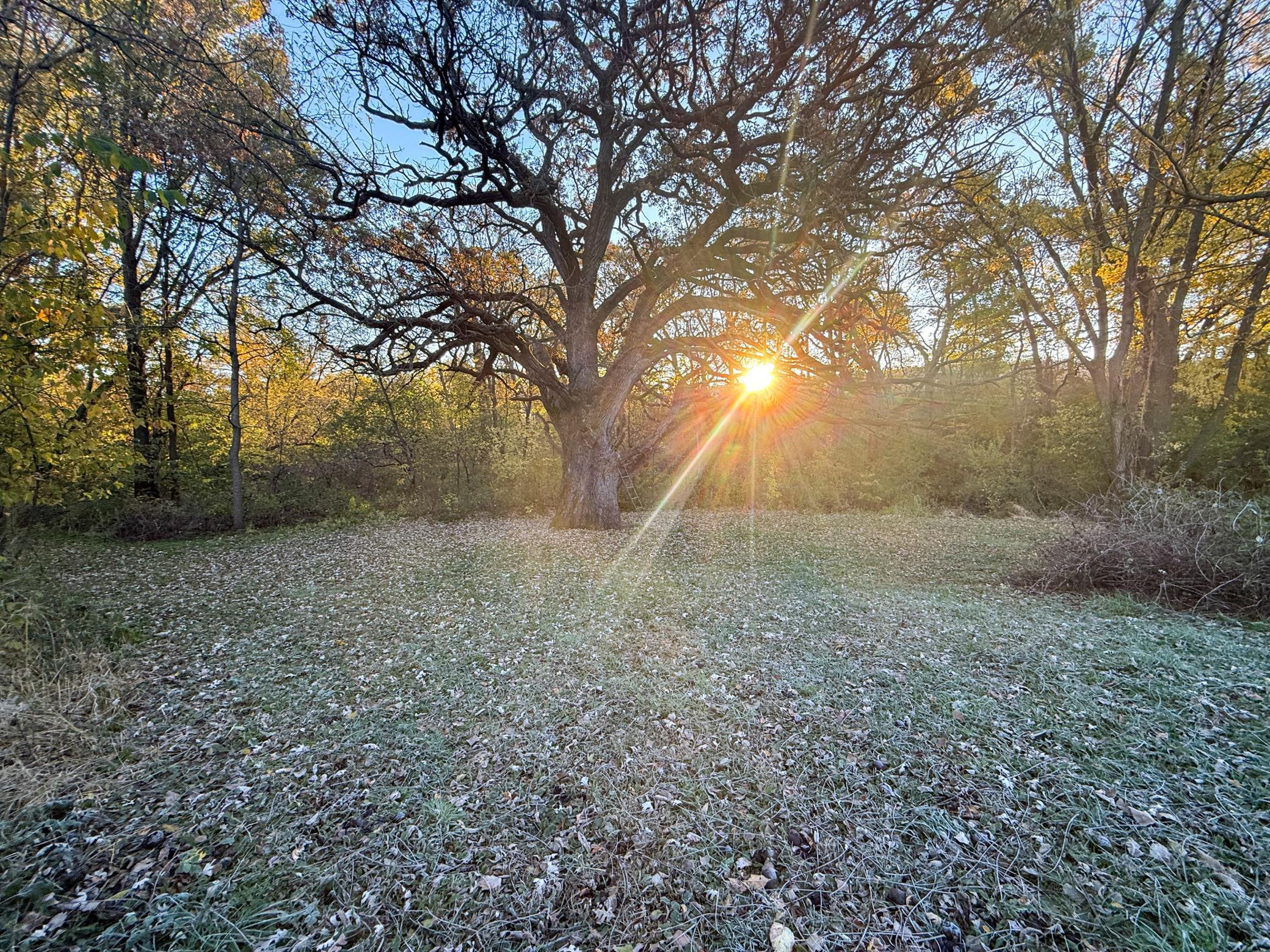 main property photo 86