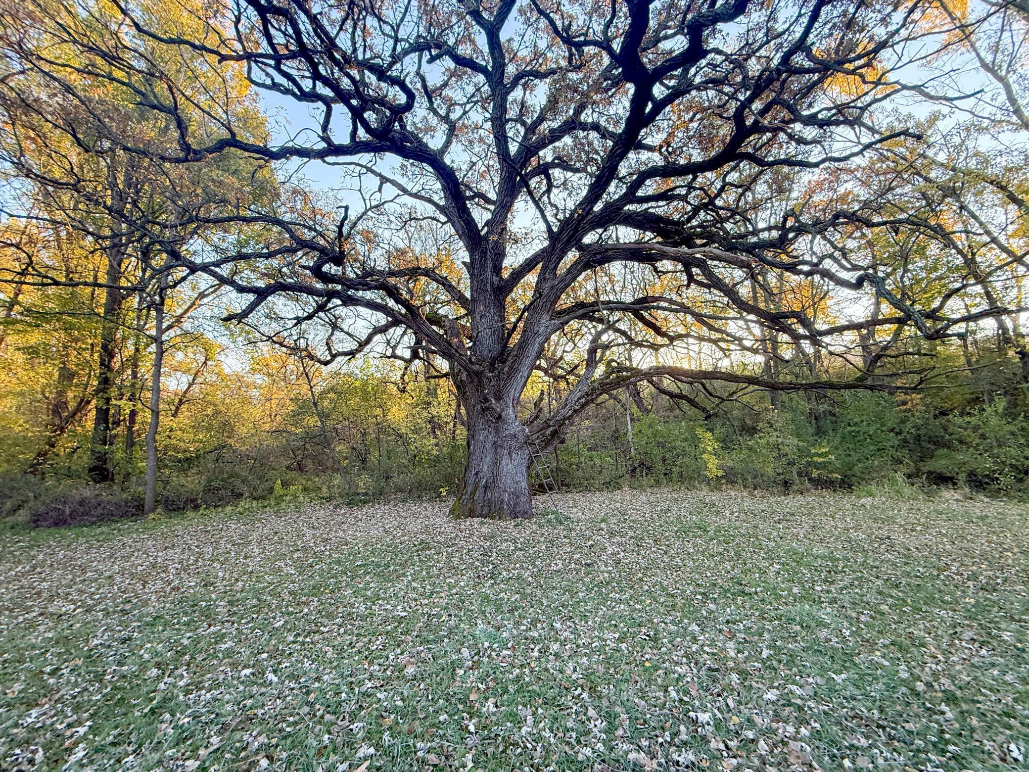 main property photo 87