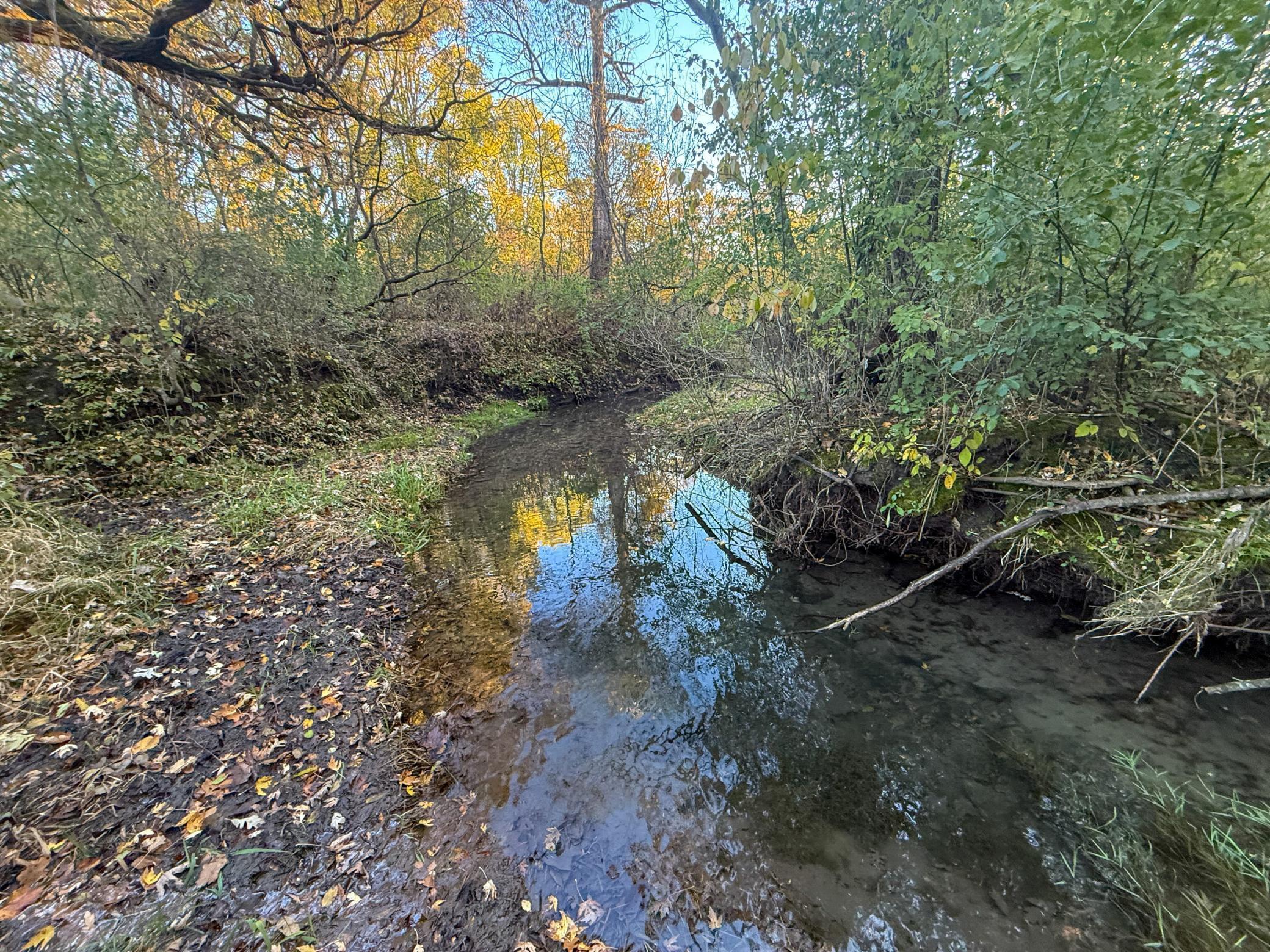 main property photo 89