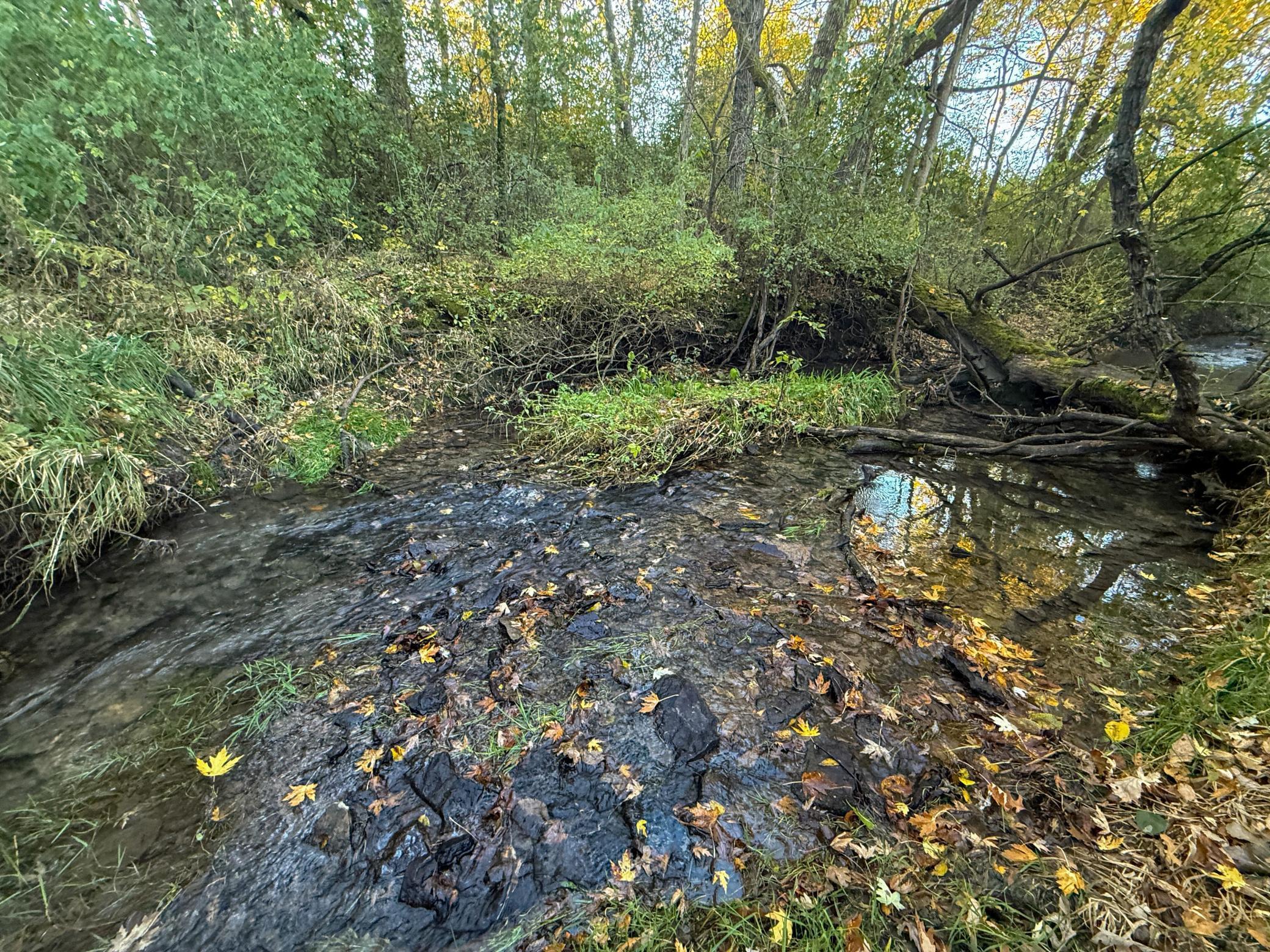 main property photo 90