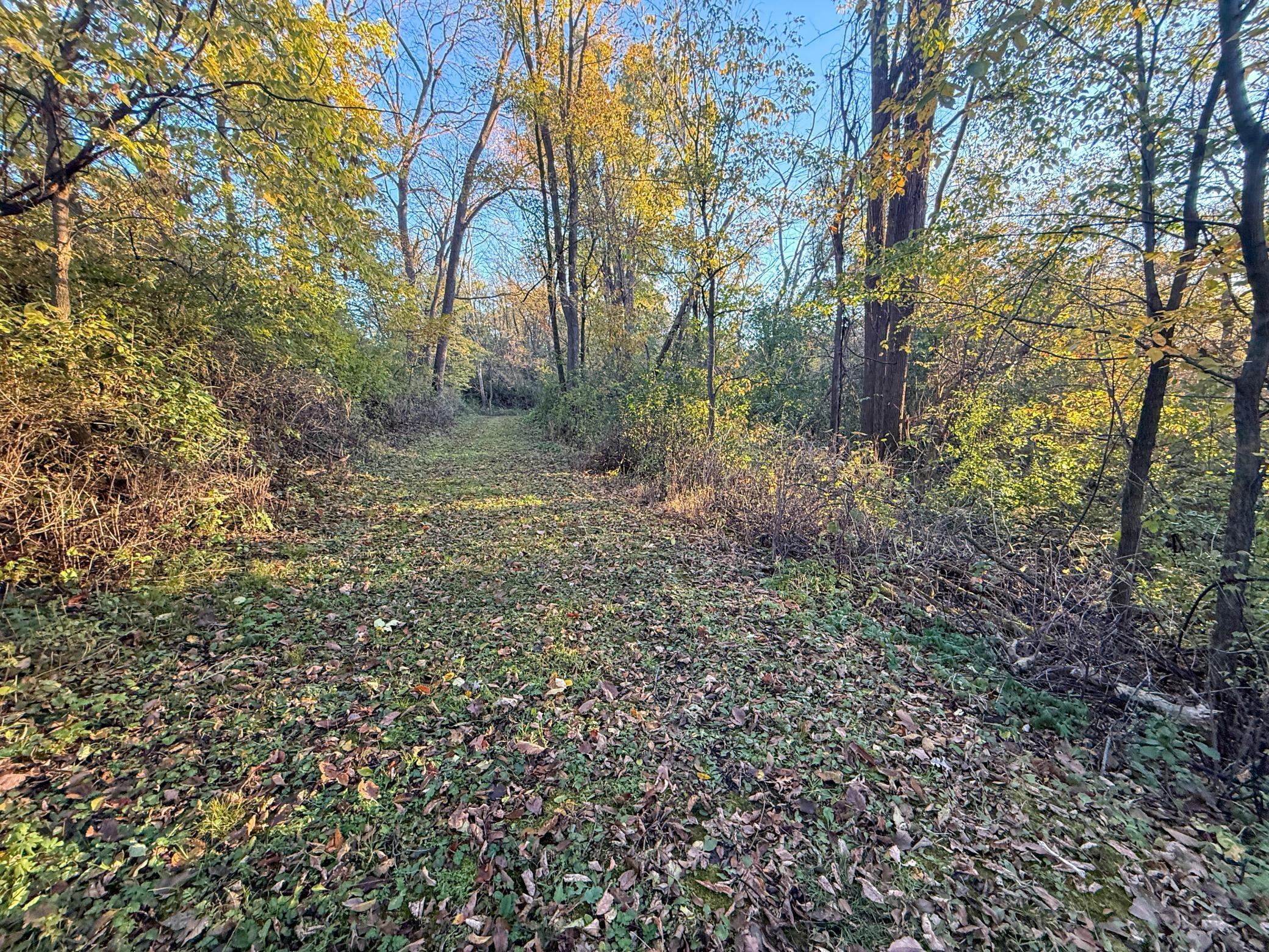 main property photo 92