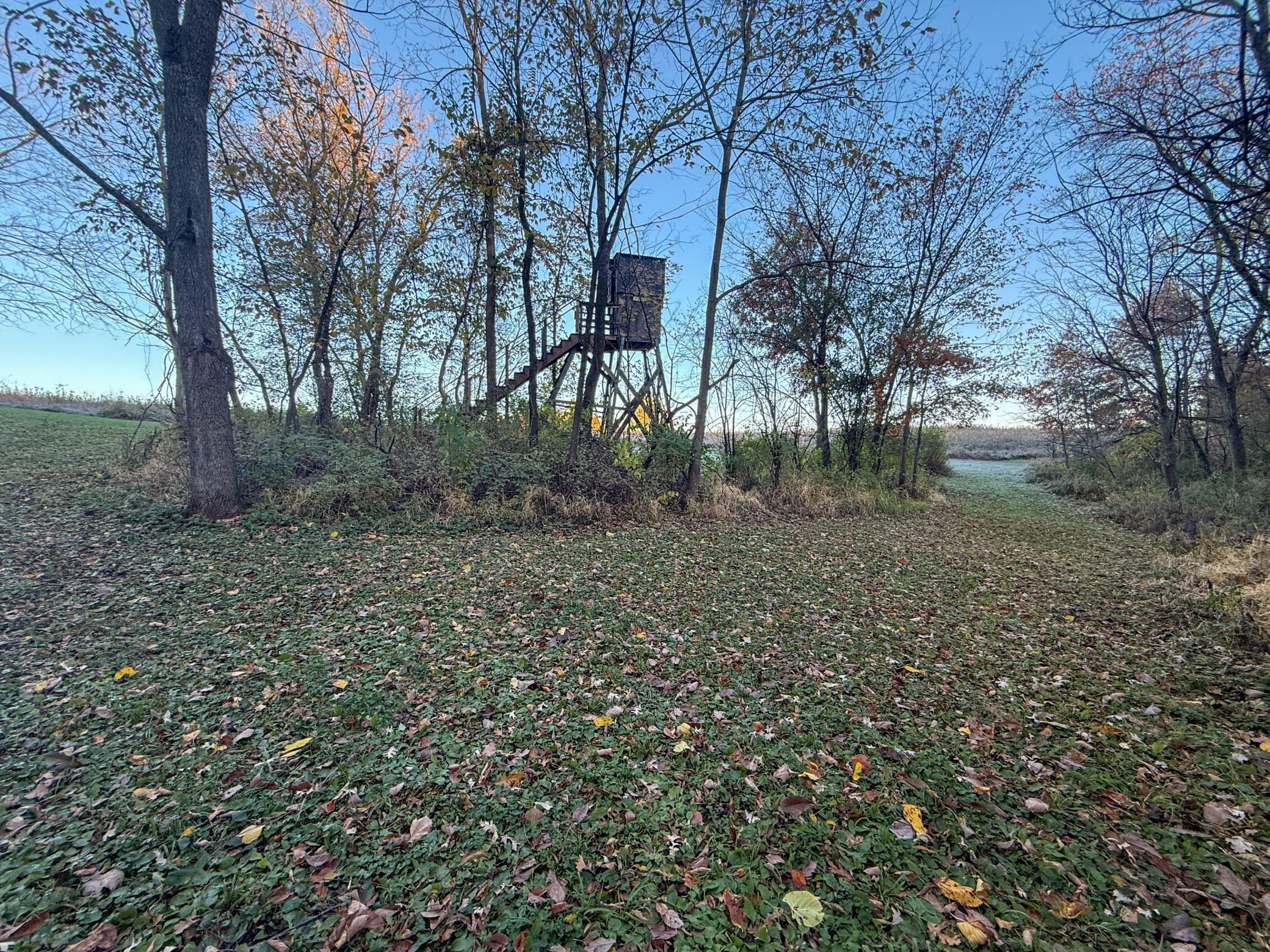 main property photo 96