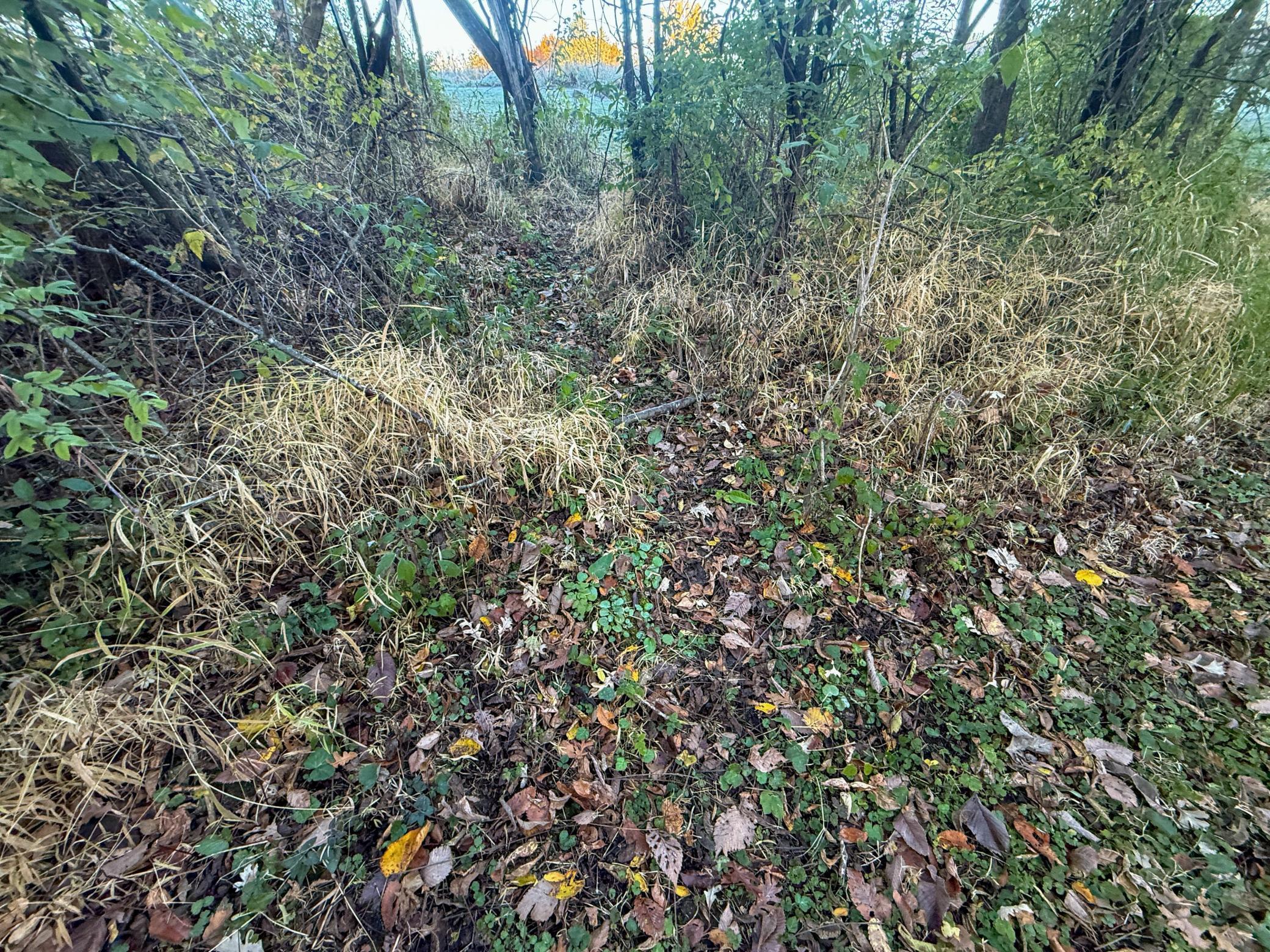 main property photo 97