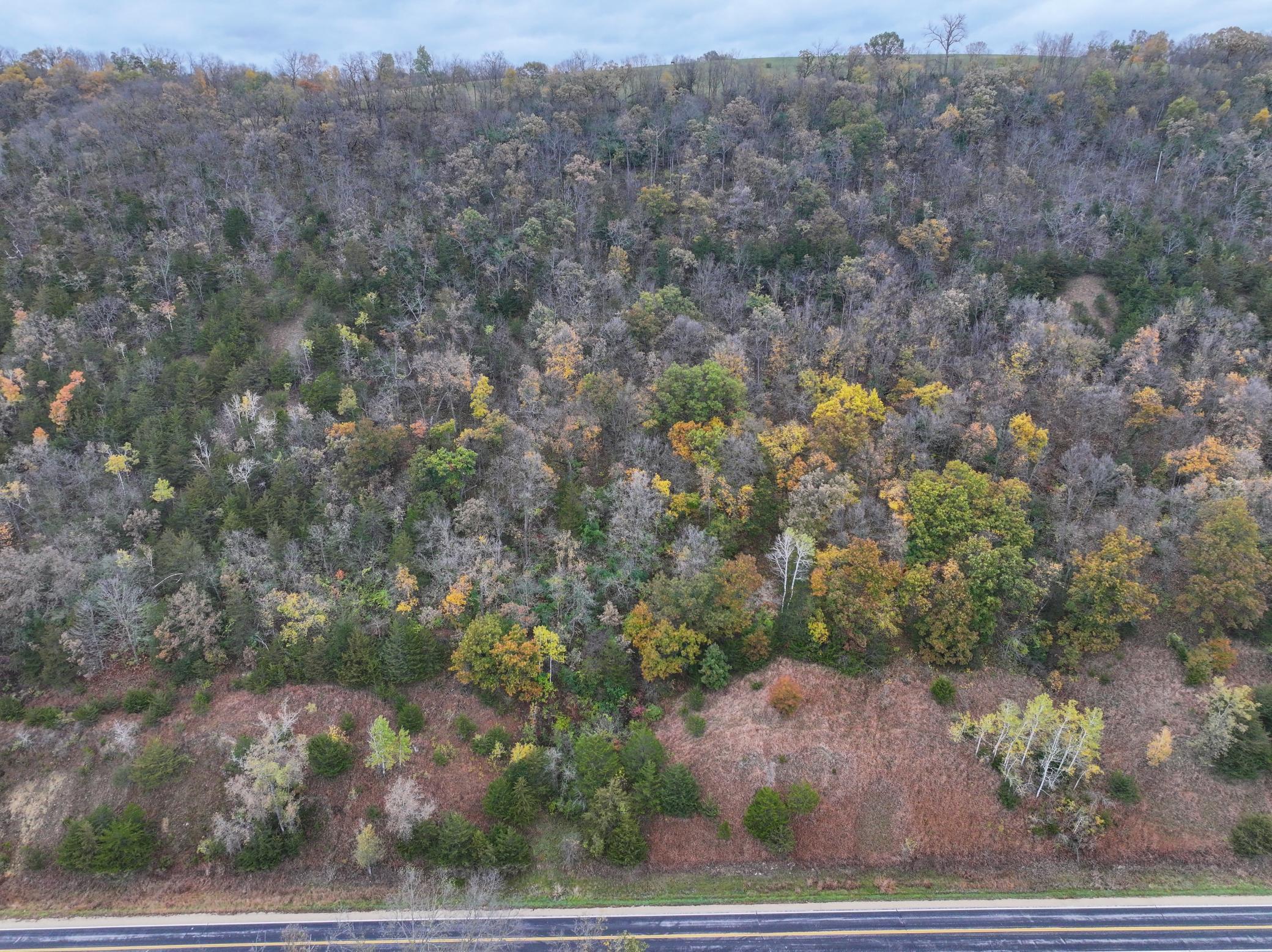 main property photo 11