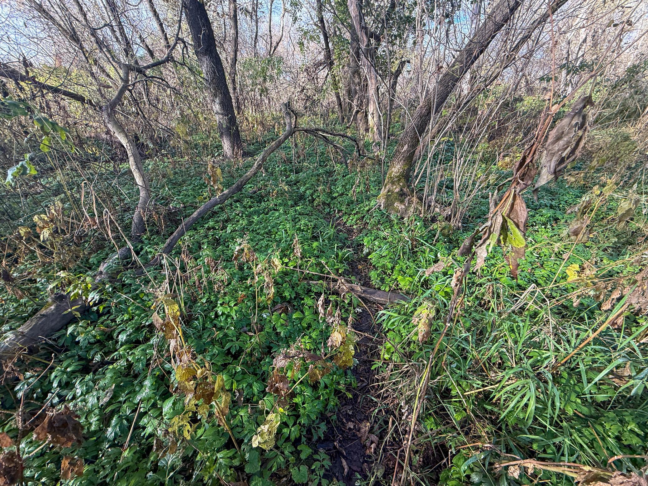 main property photo 25